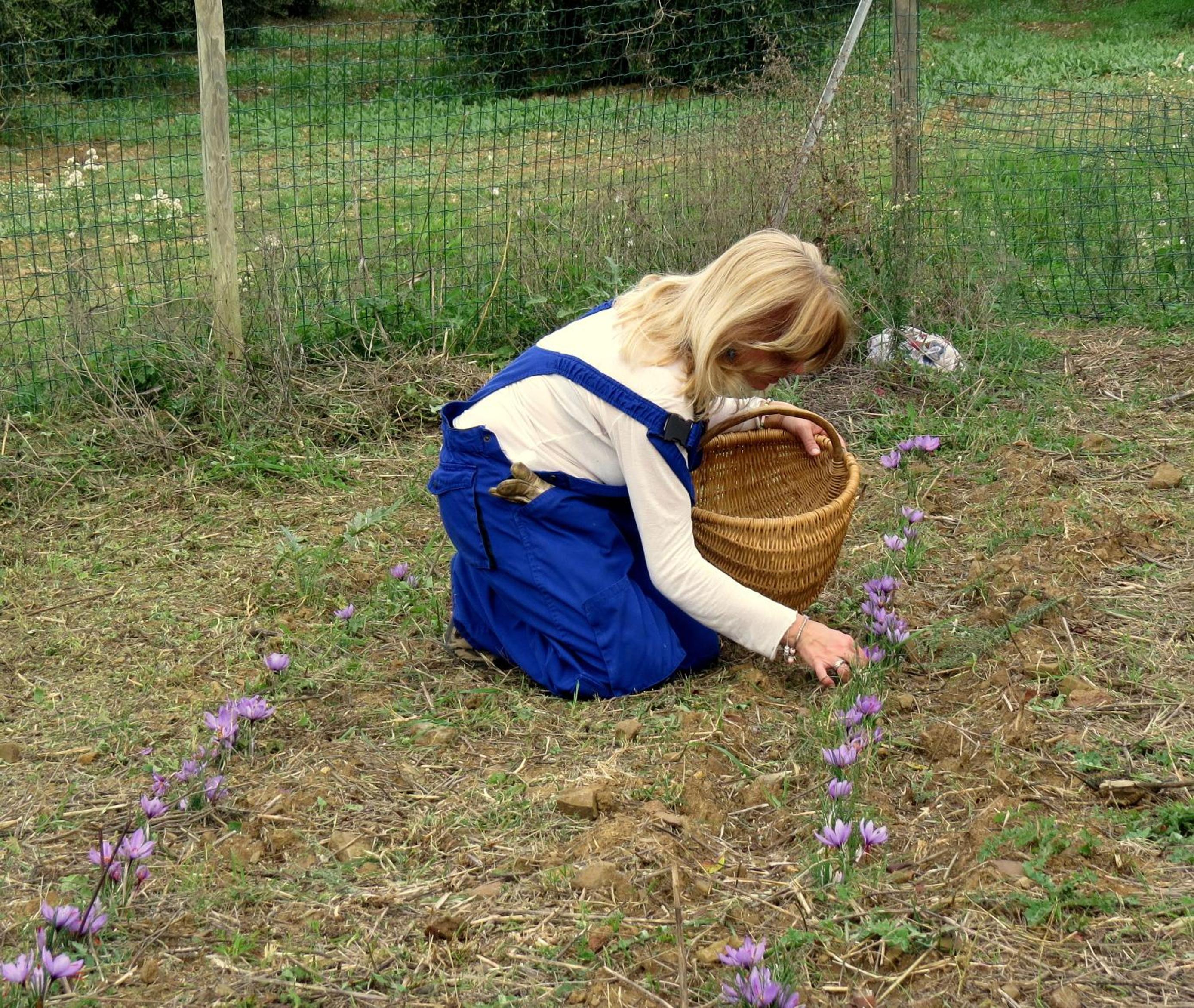 Photo 61
