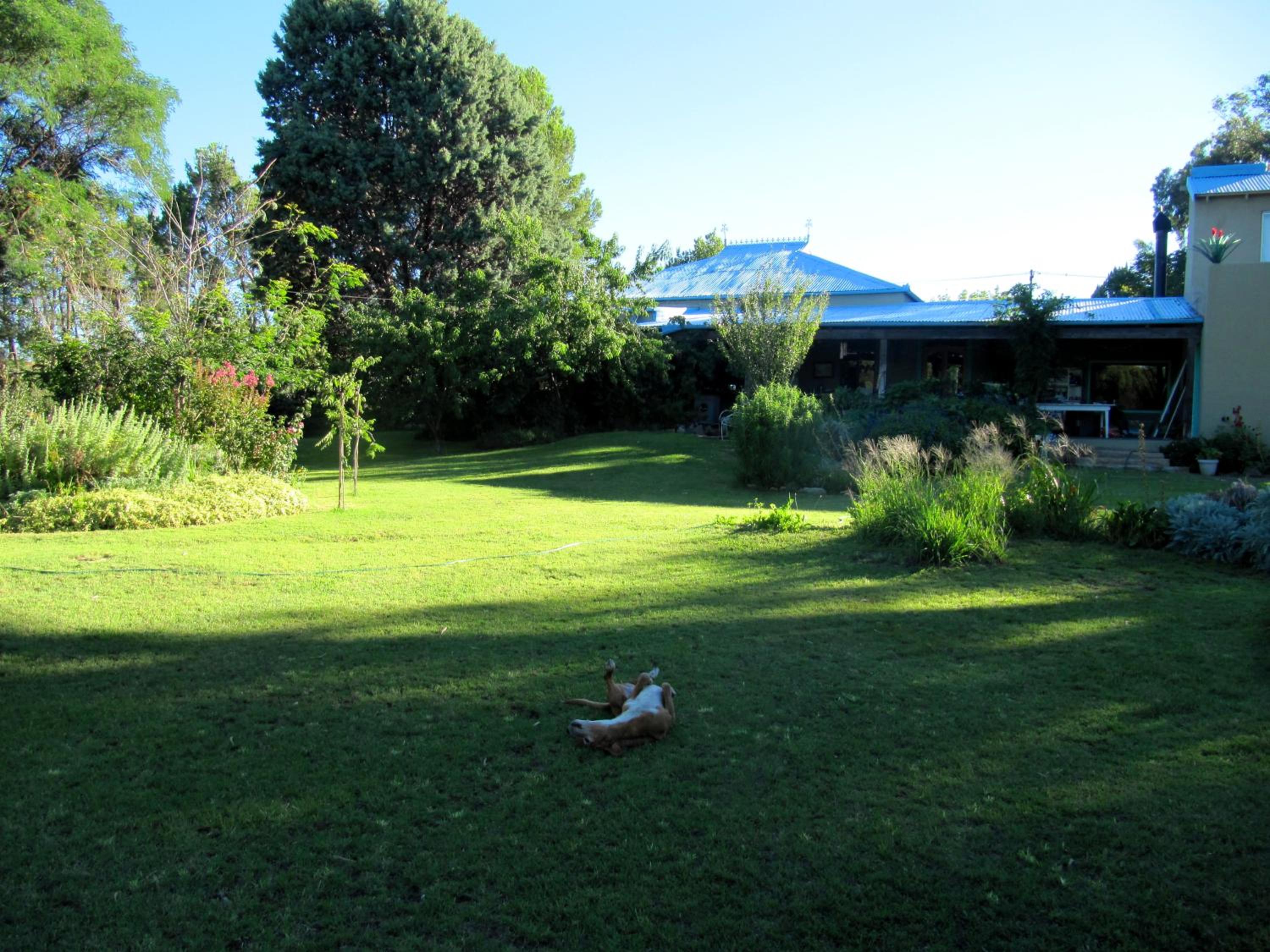 Photo 24