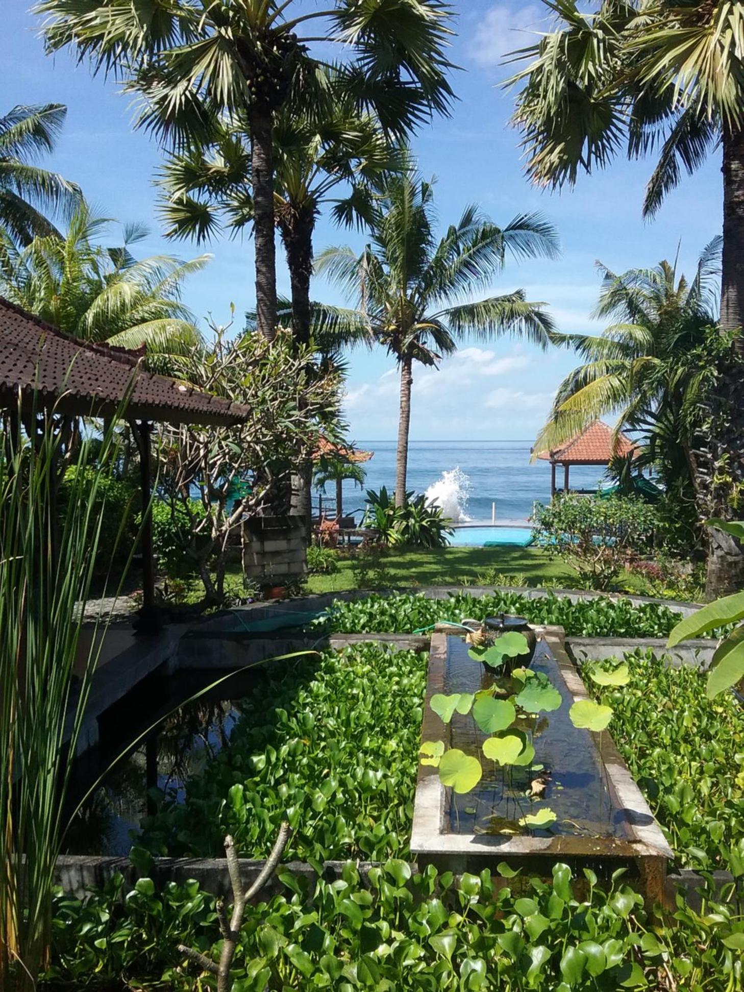 Kebun Impian