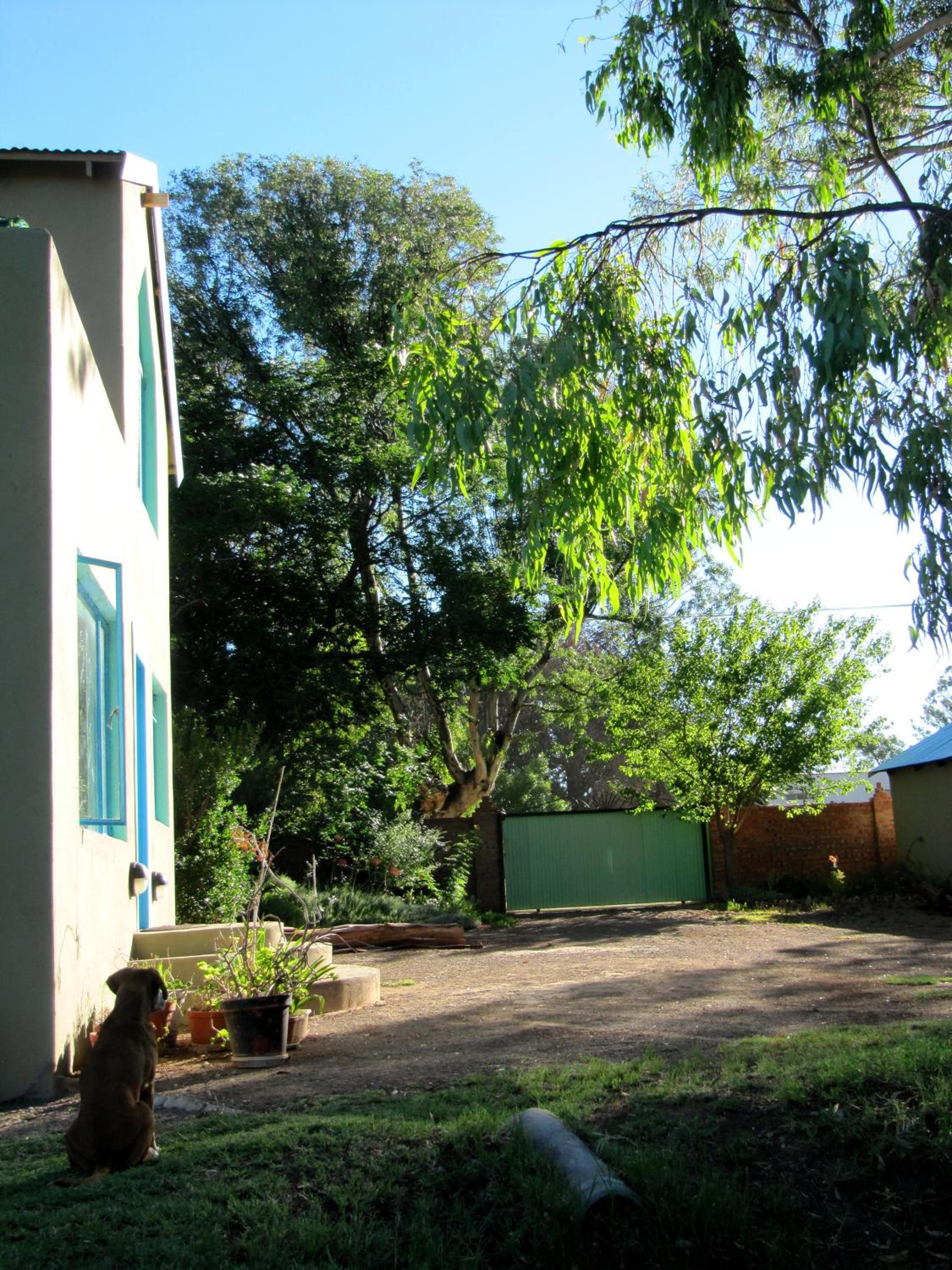 Bluegum Cottage B&B and Self Catering view 2