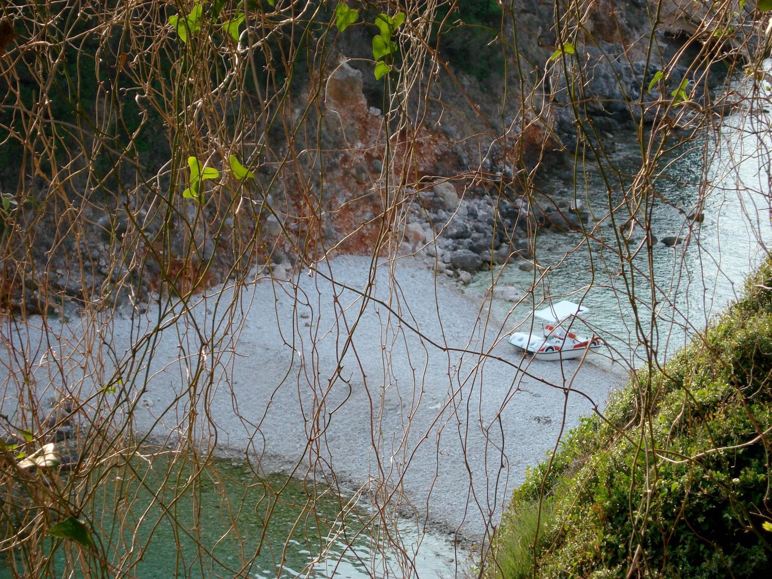 Photo 42