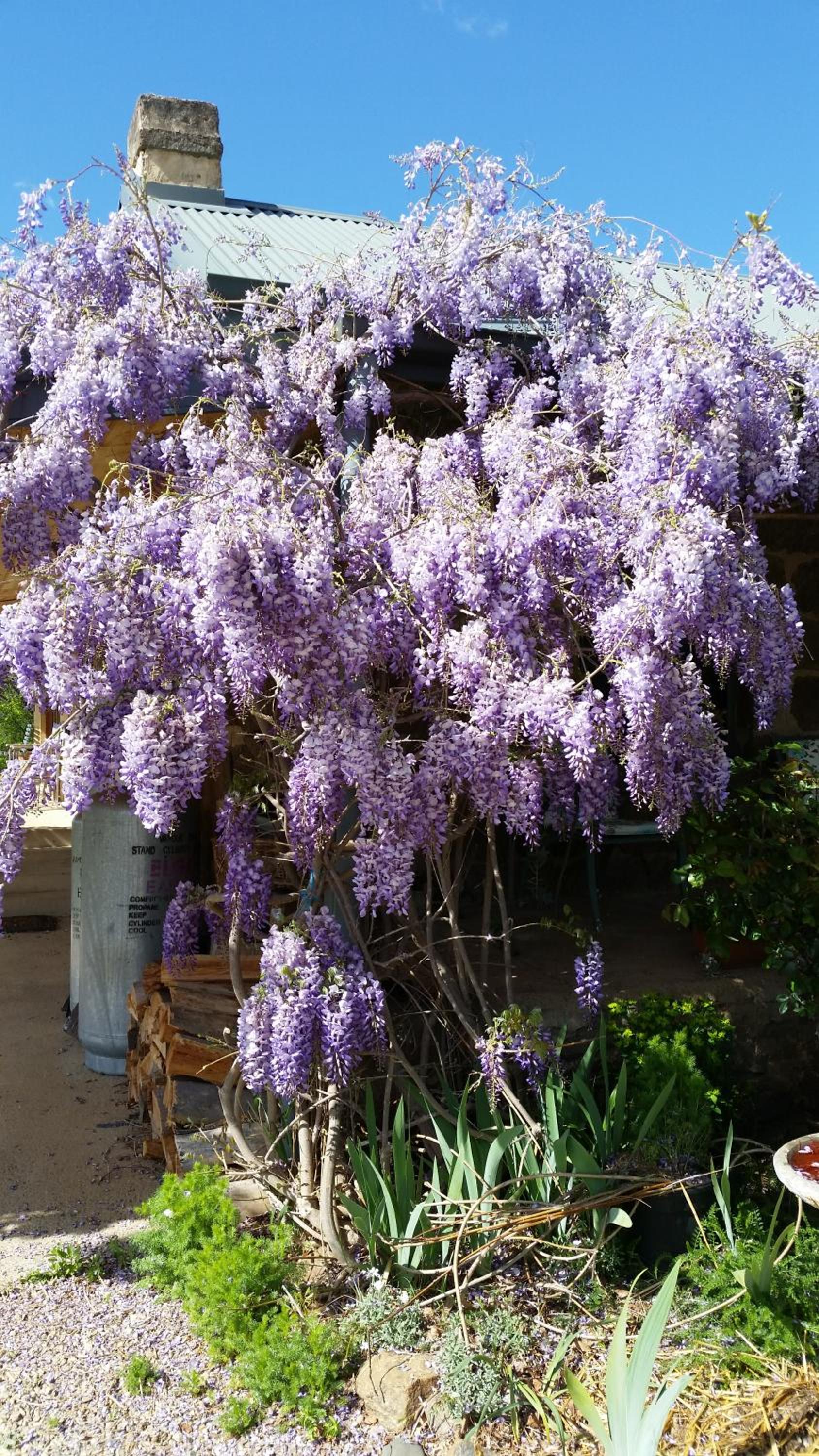 Woodvale at Cooma