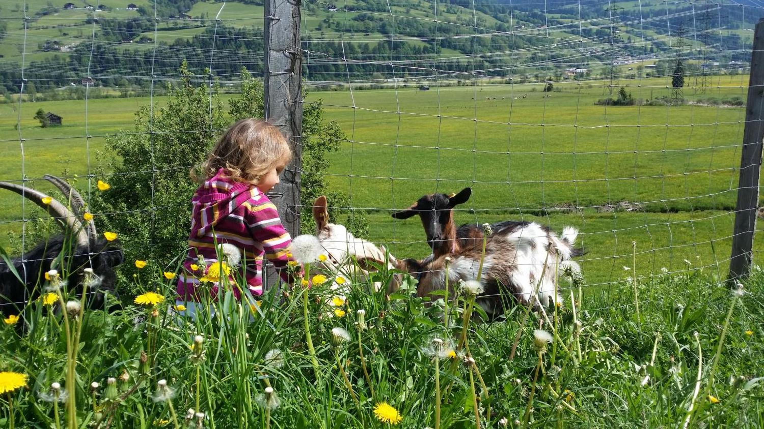 Apartments Teglbauernhof, Hütte, Chalet, Mobilheim, Appartement, Ferienwohnung, Pension, Urlaub