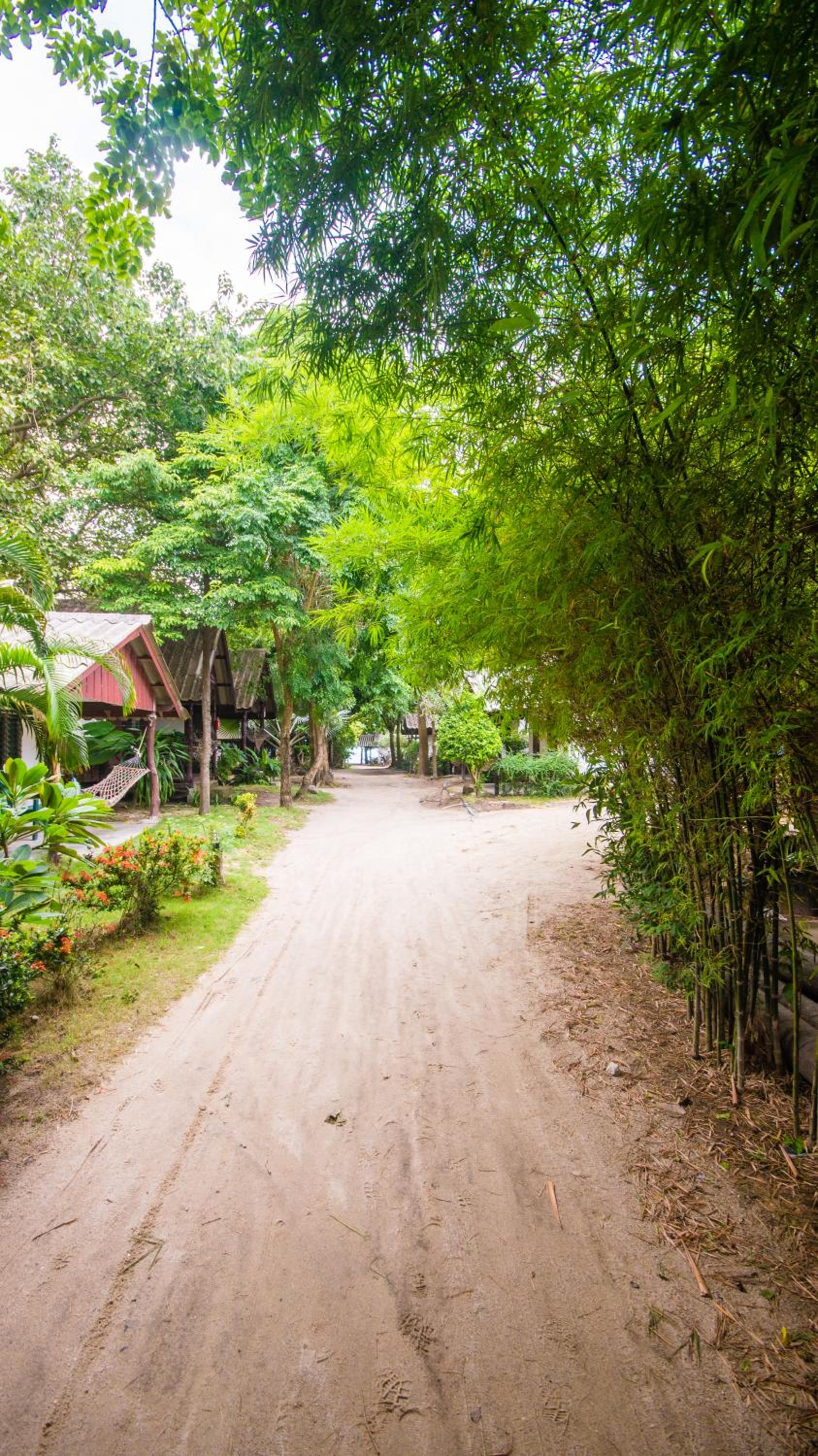 The Cosy Koh Phangan and Restaurant