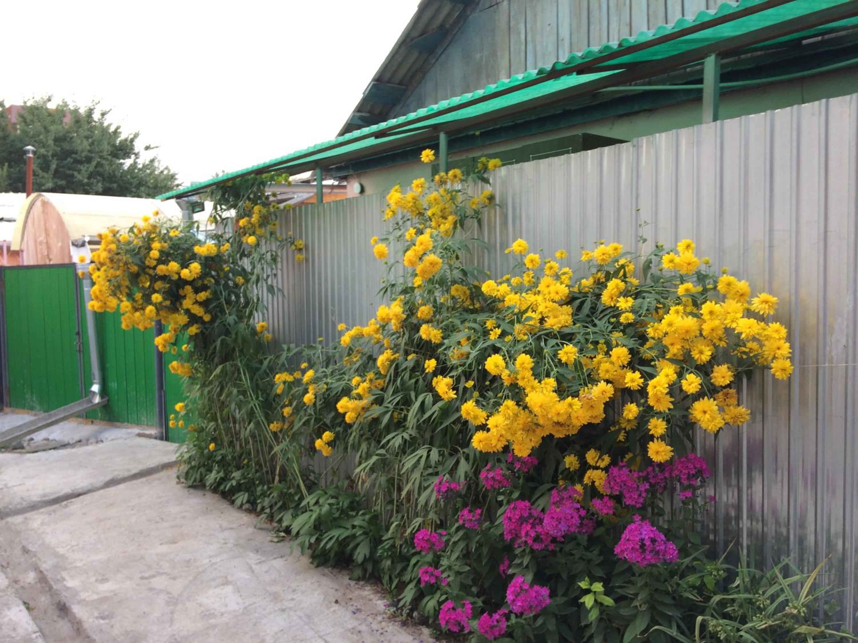 Photo 25