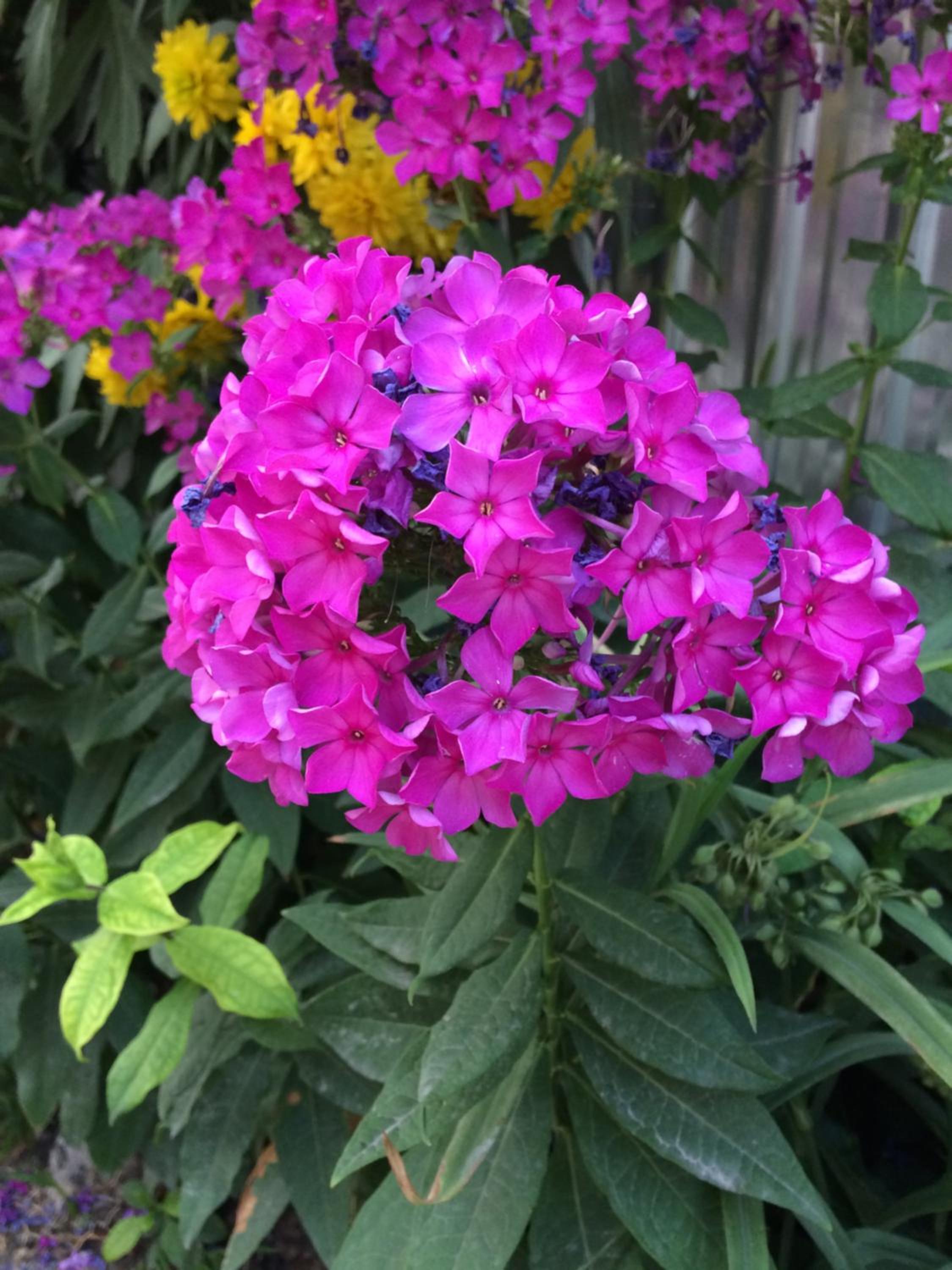 Photo 21