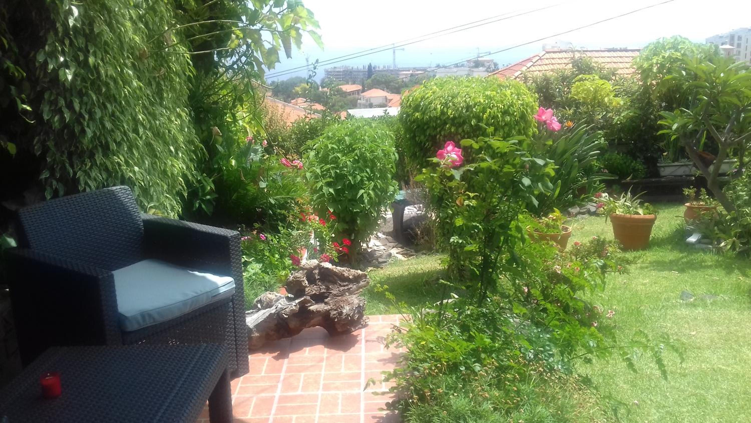 Photo 51