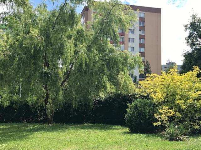 Apartmán Amália