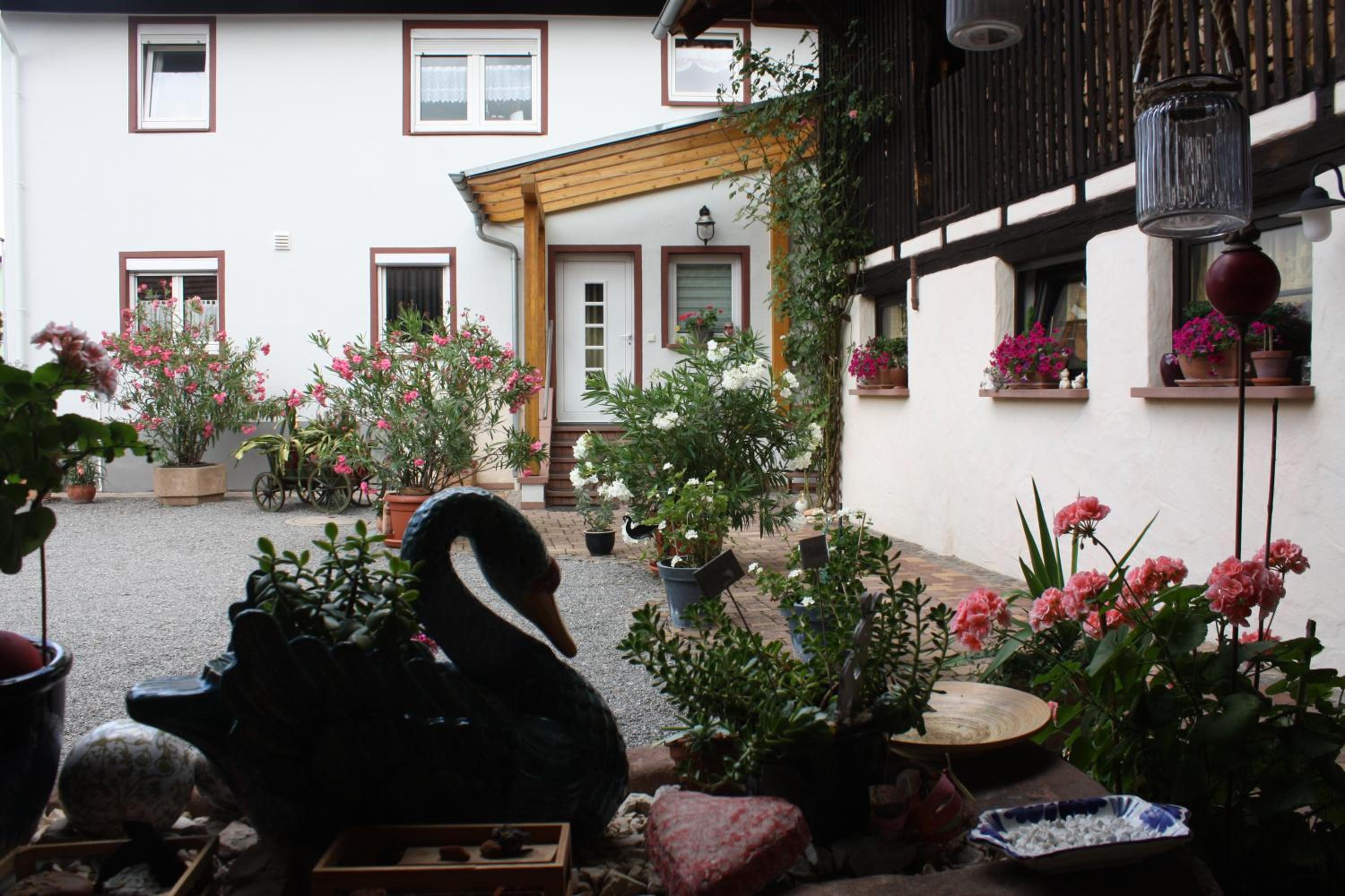 Photo 29