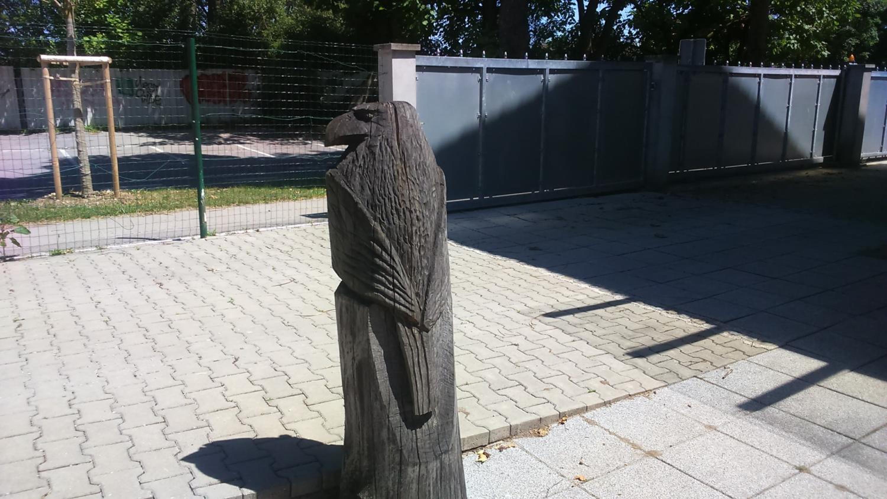 Photo 41