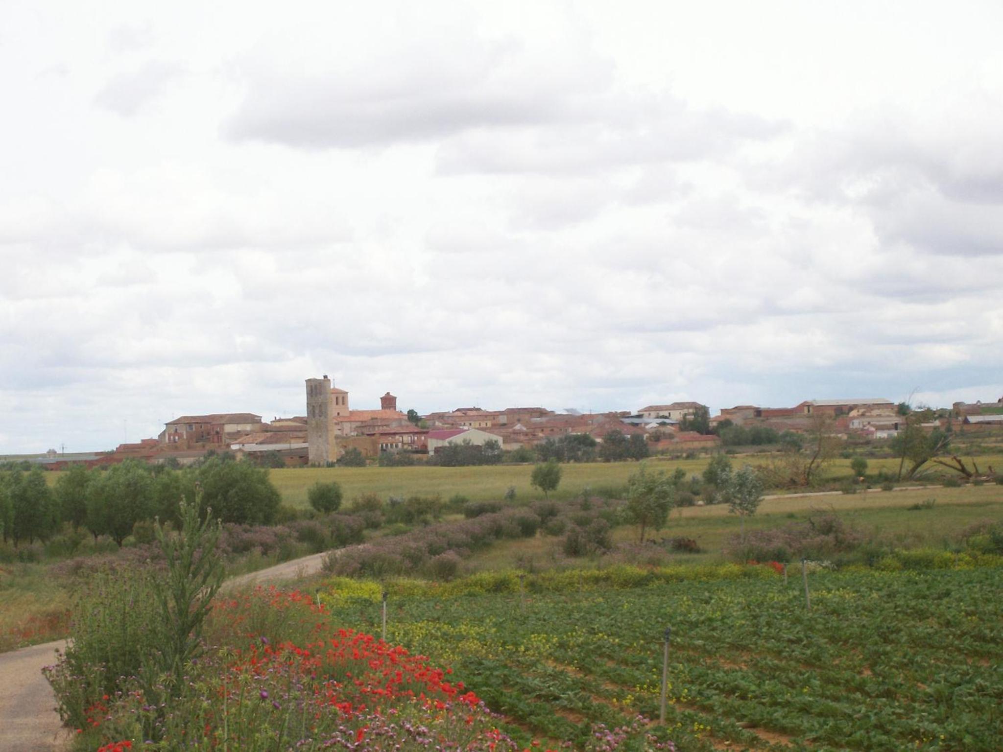Quinta del Canal