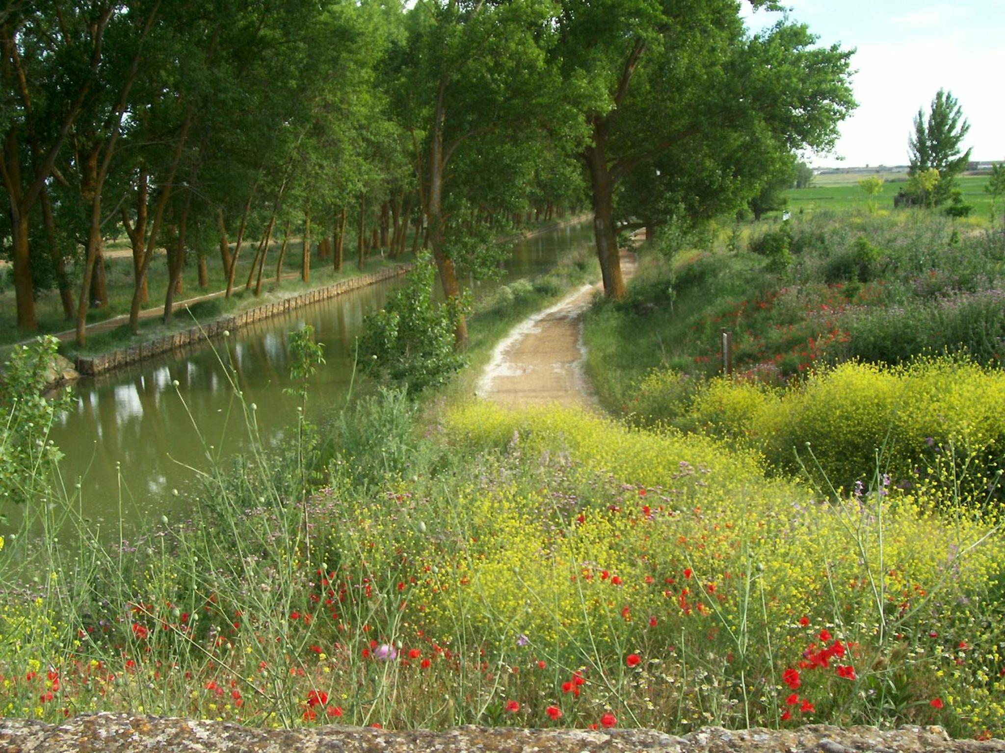 Quinta del Canal