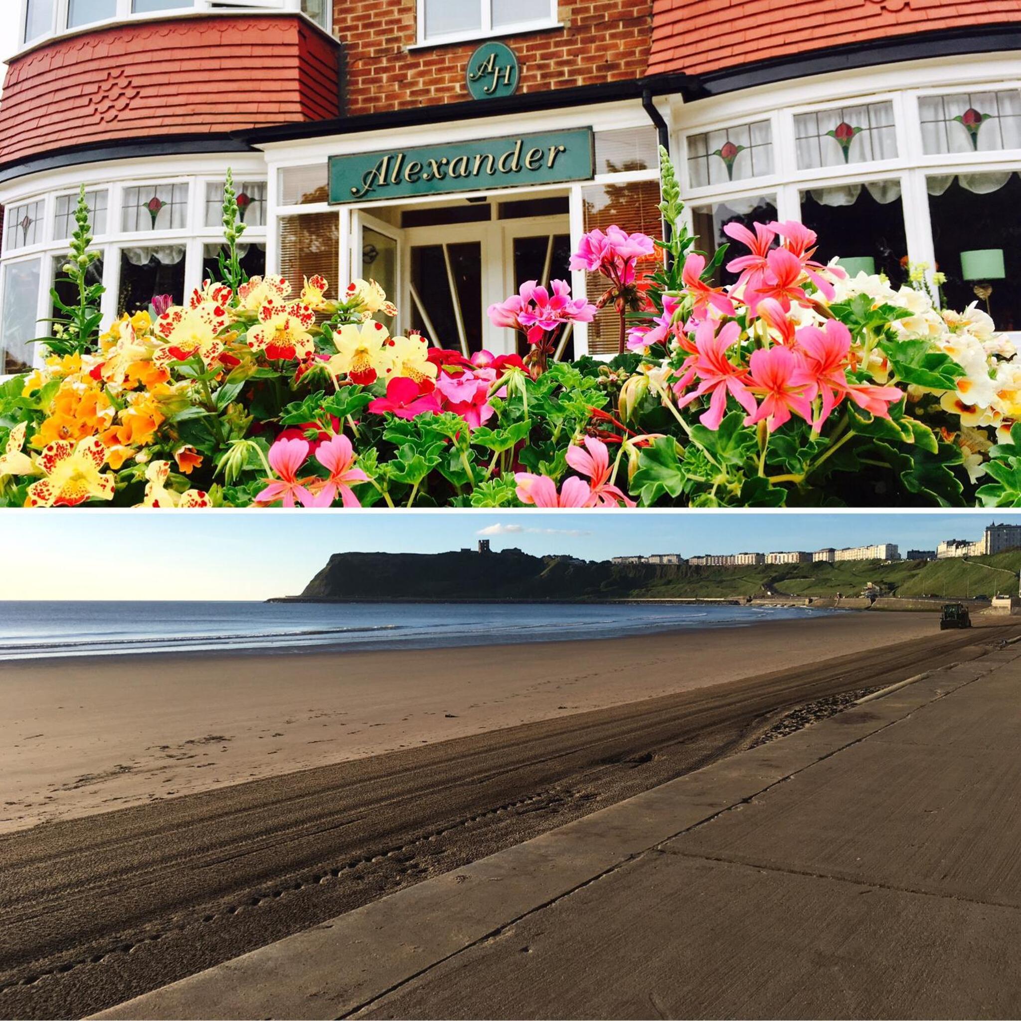 Hotel The Alexander - Seaside Hideaway - Image 1