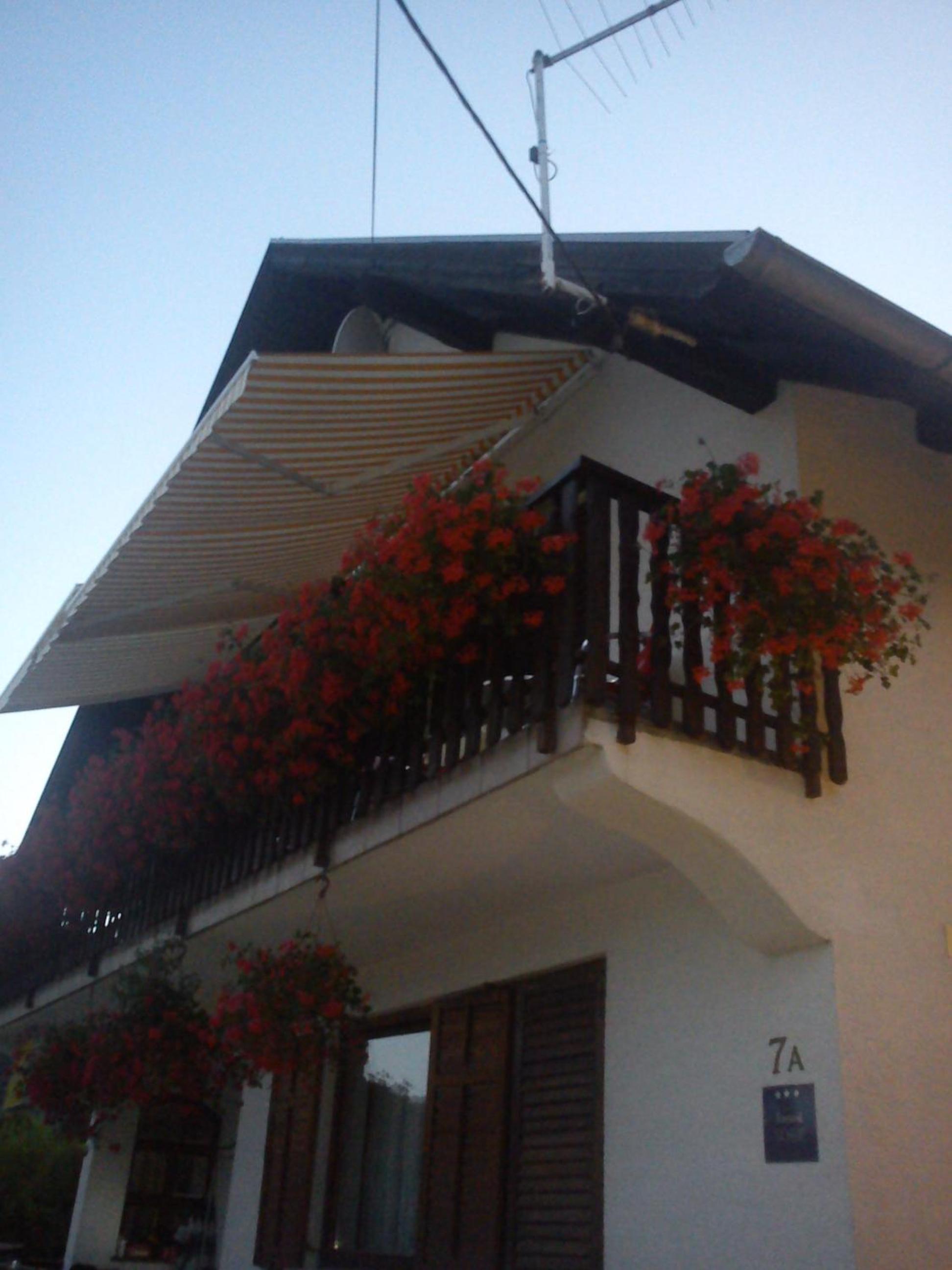 House Anamarija