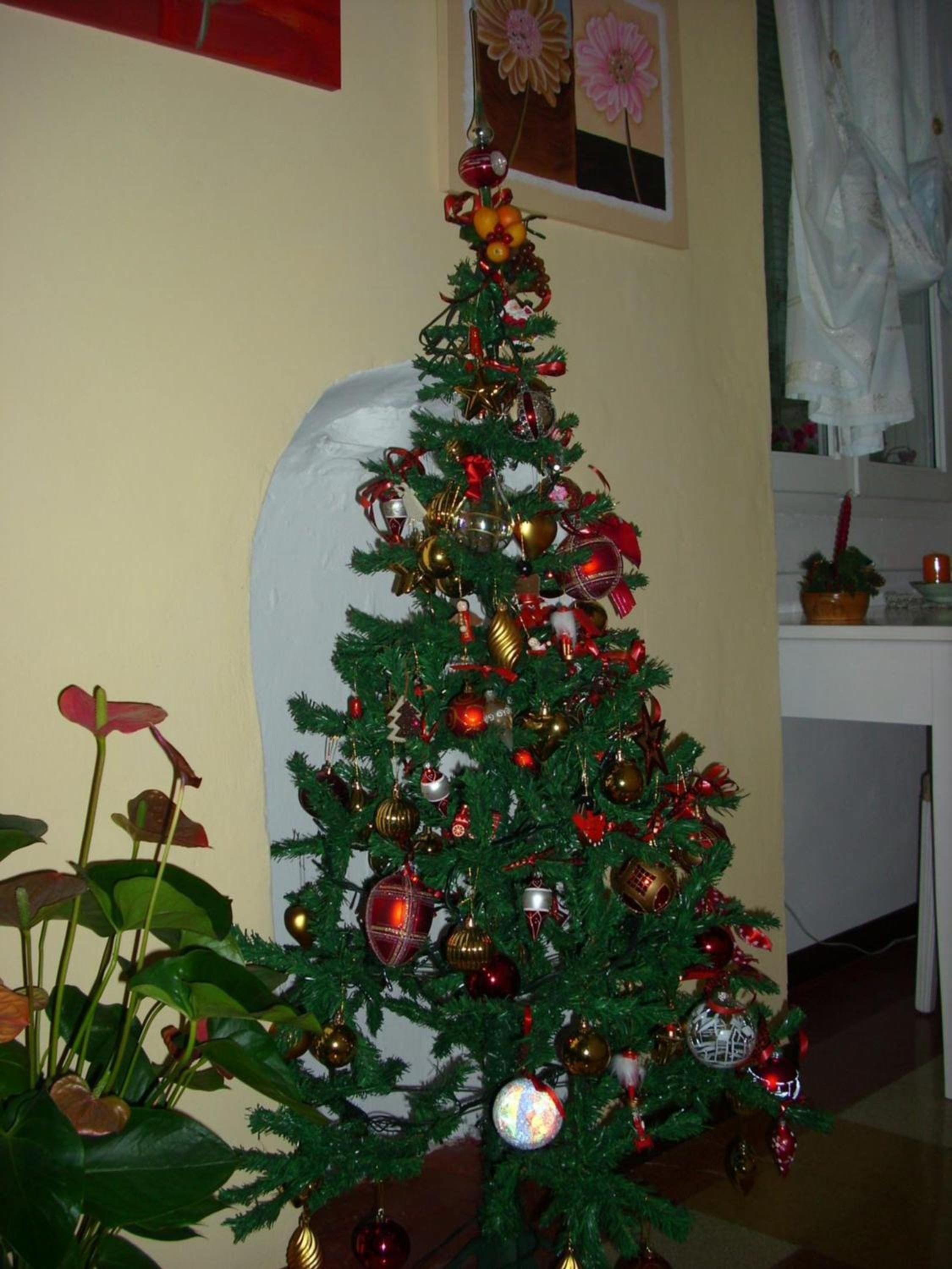 Photo 17