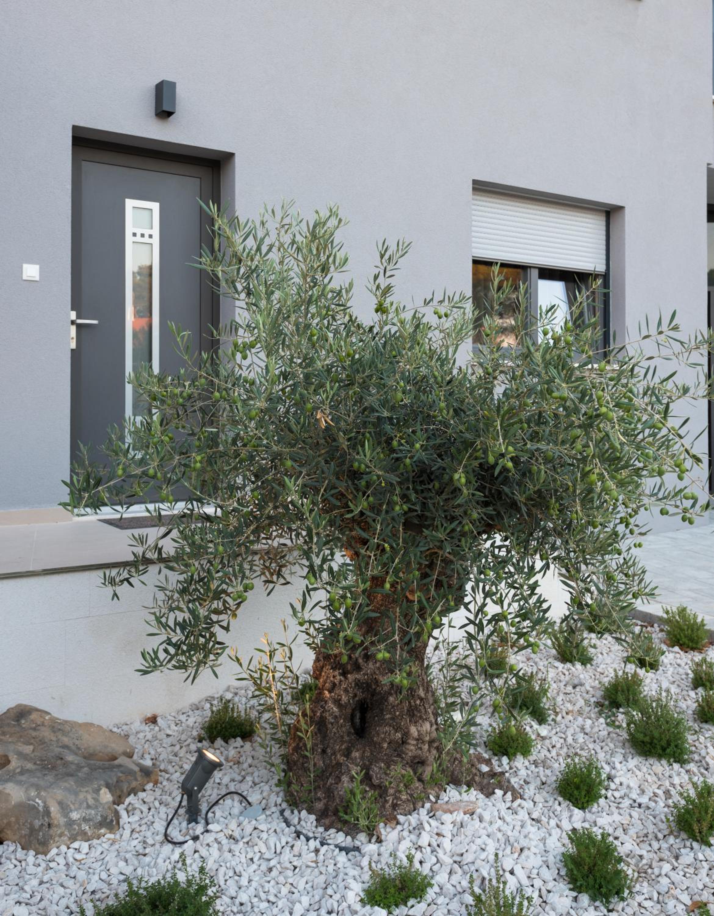Croatica Suites Brodarica view 3