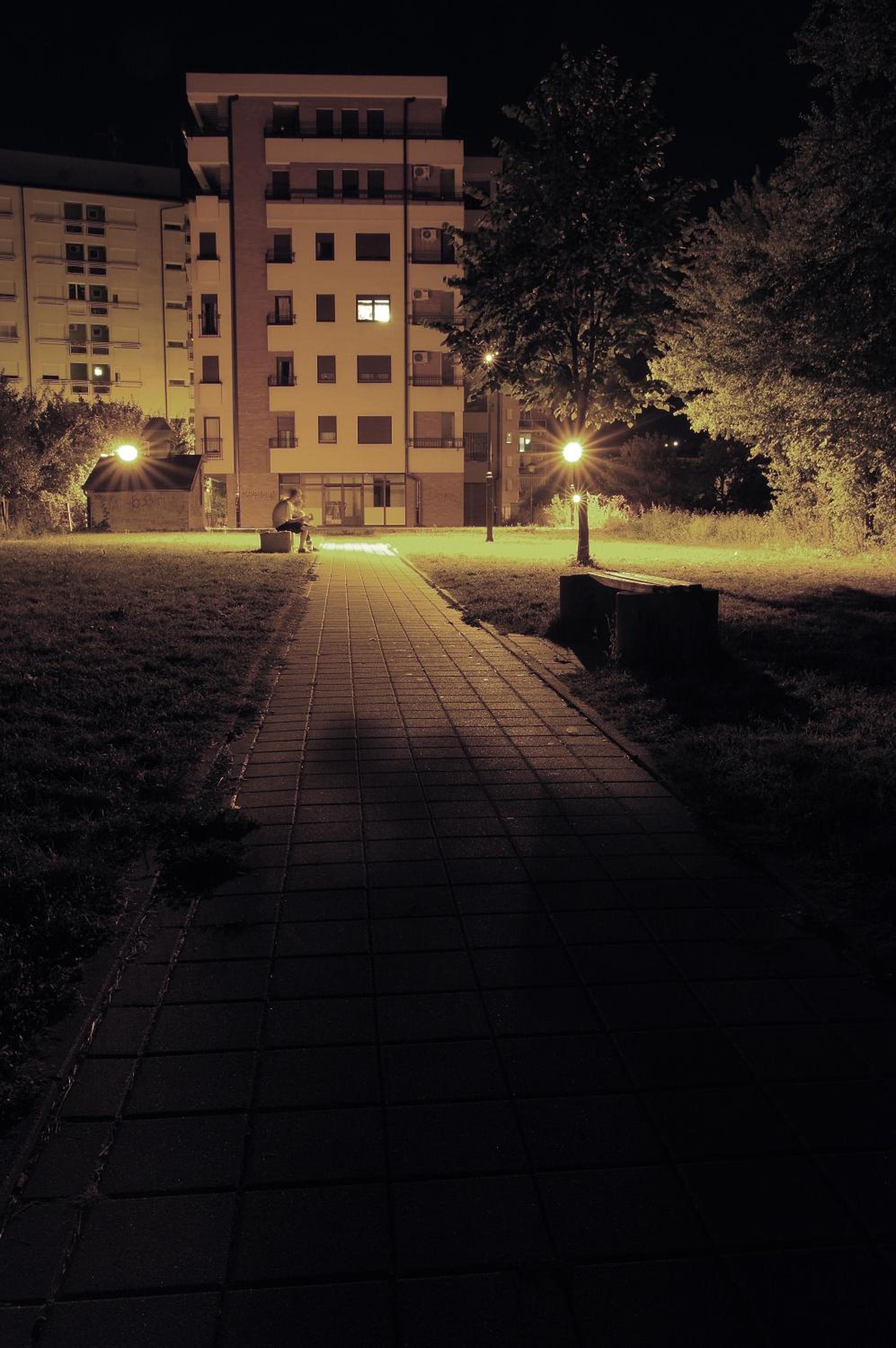 Photo 20