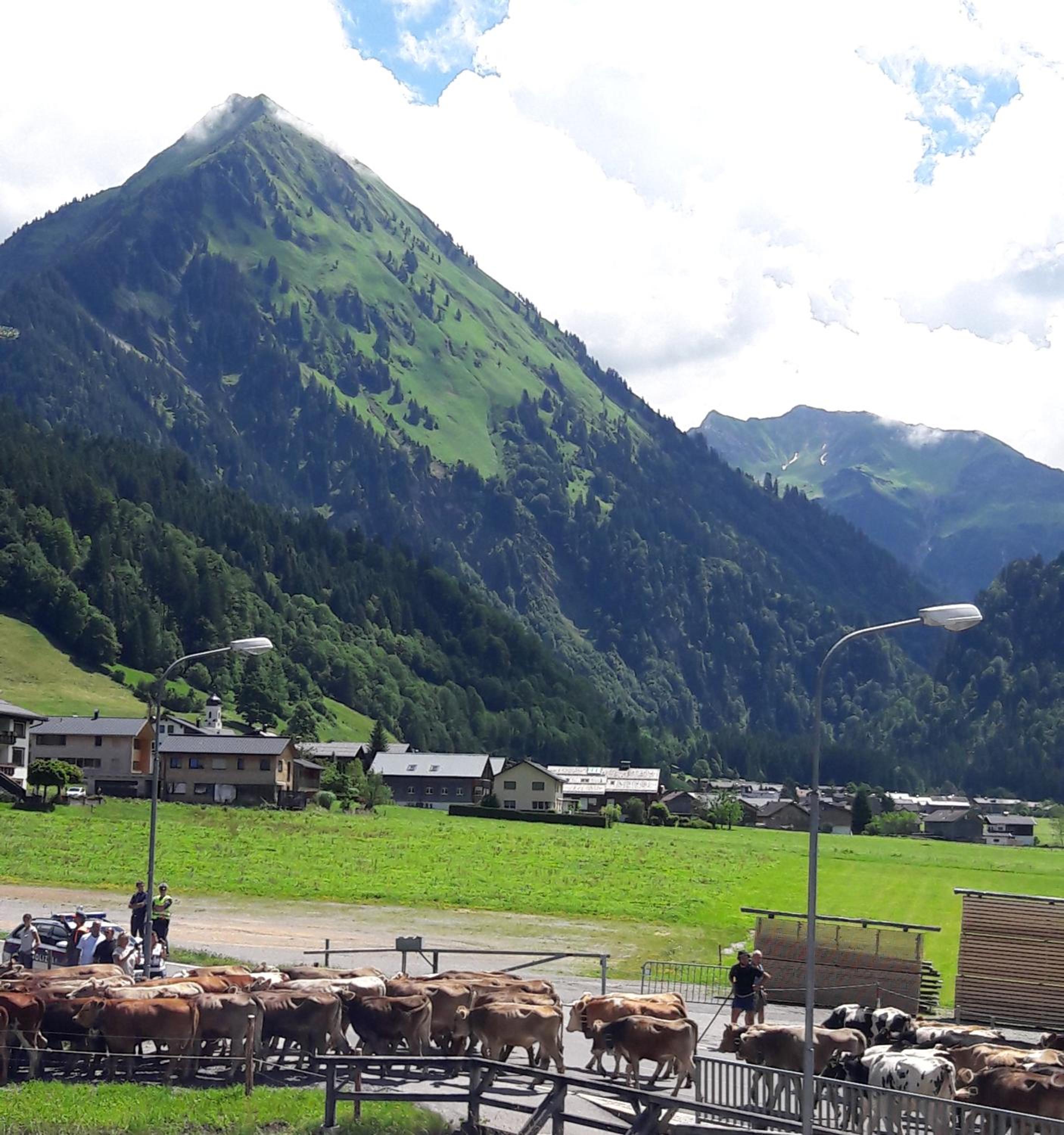 Haus Diedams view 4