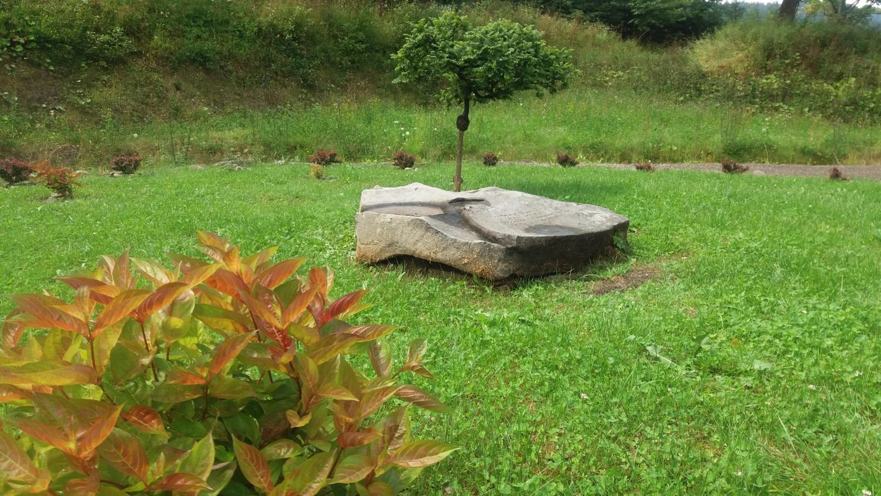Photo 40