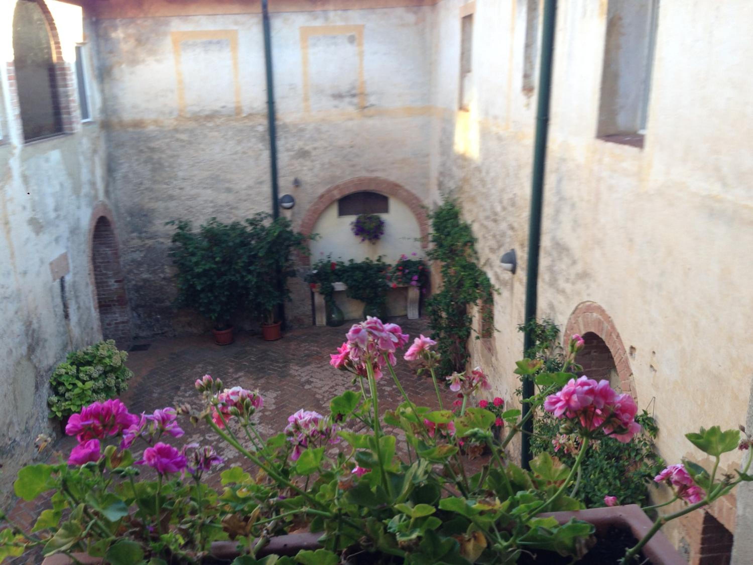 Photo 44