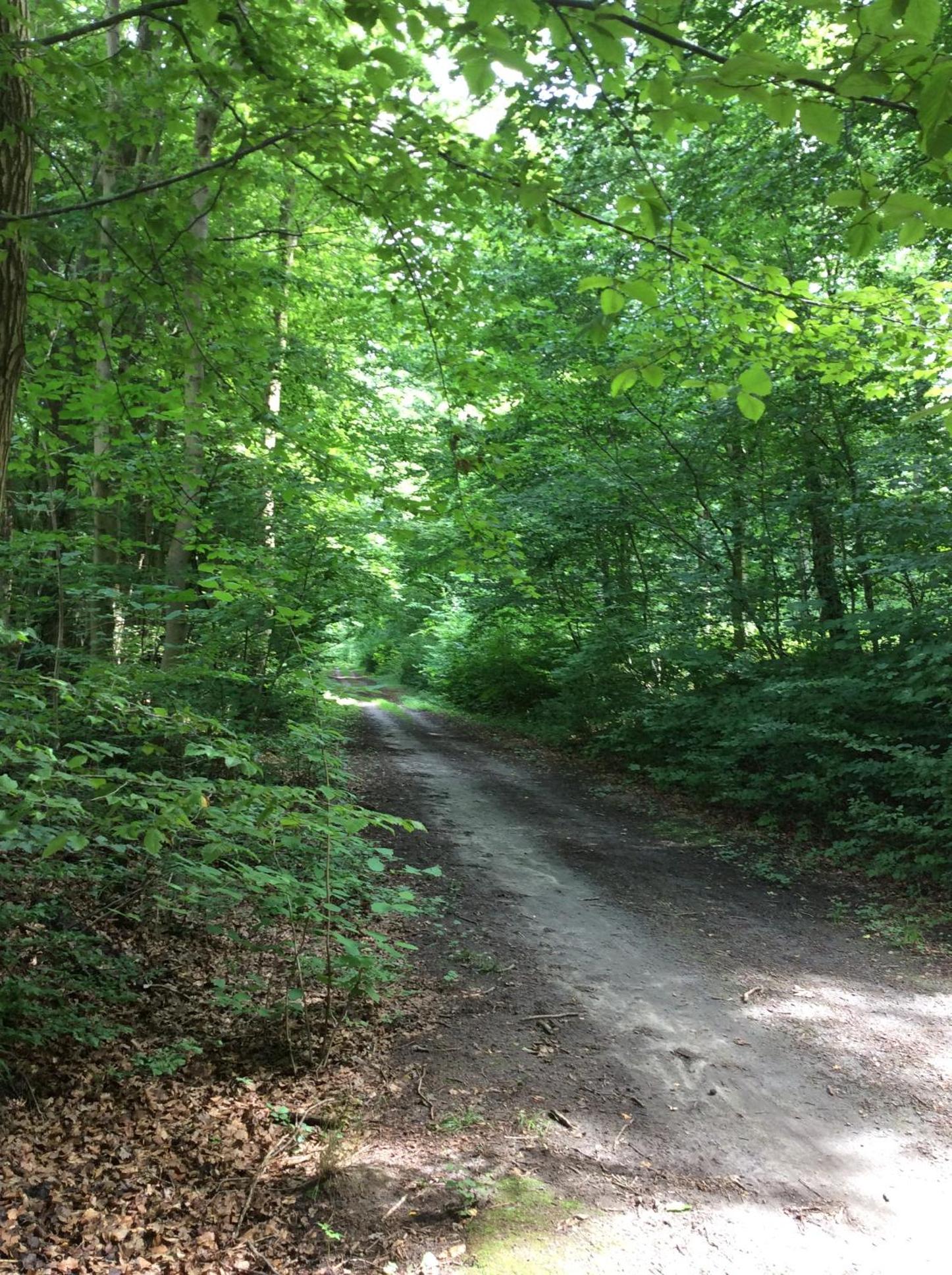 Photo 23