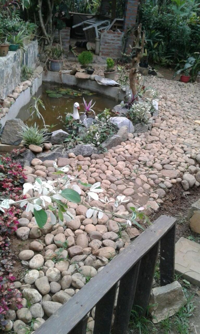 Photo 71