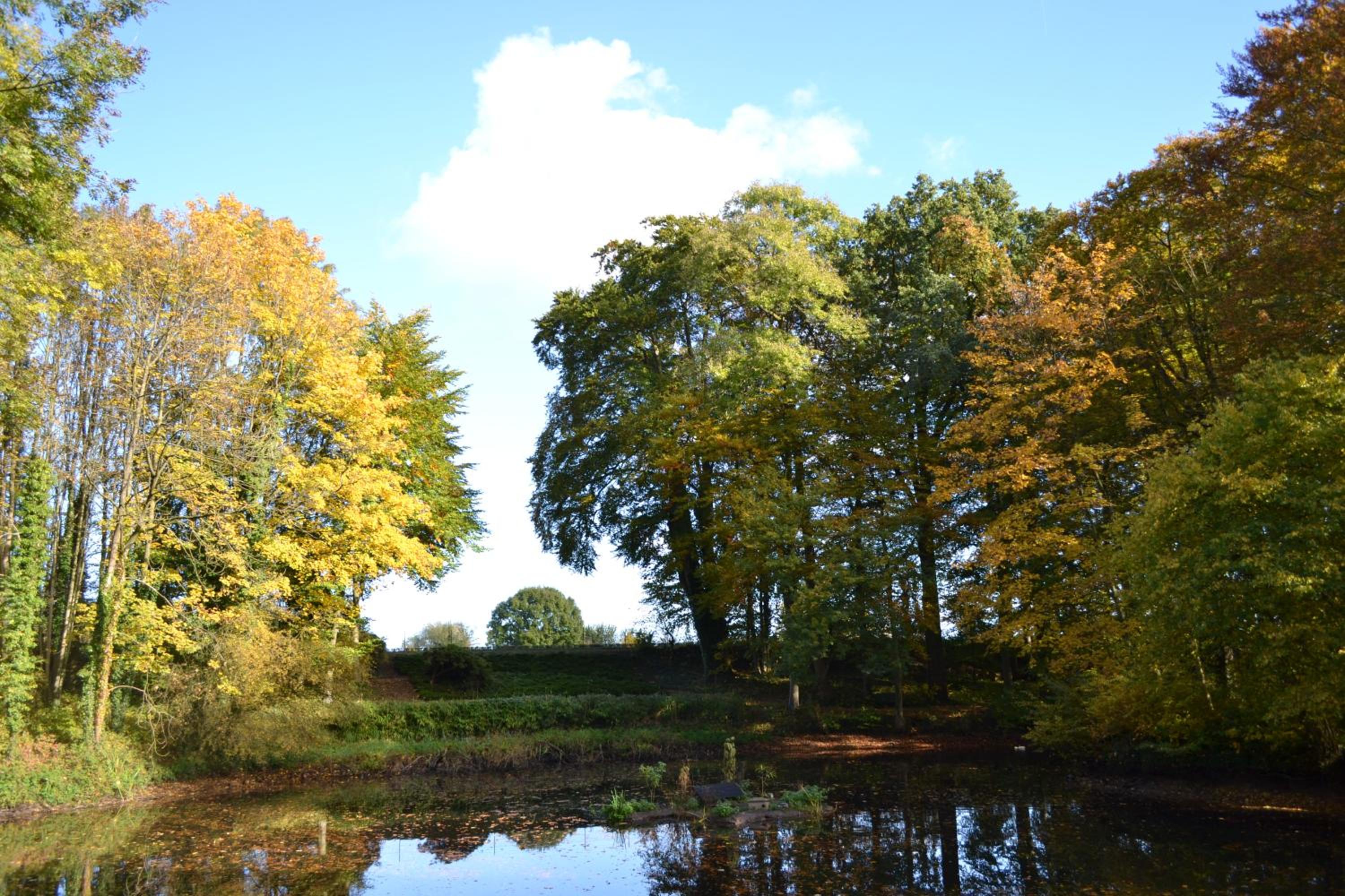 B&B en SPA Landgoed Matanze