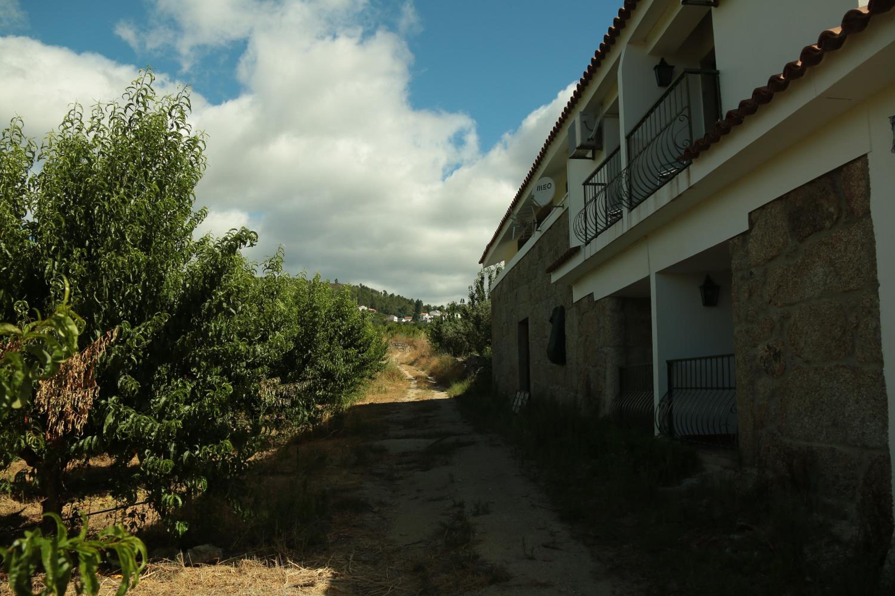Photo 38