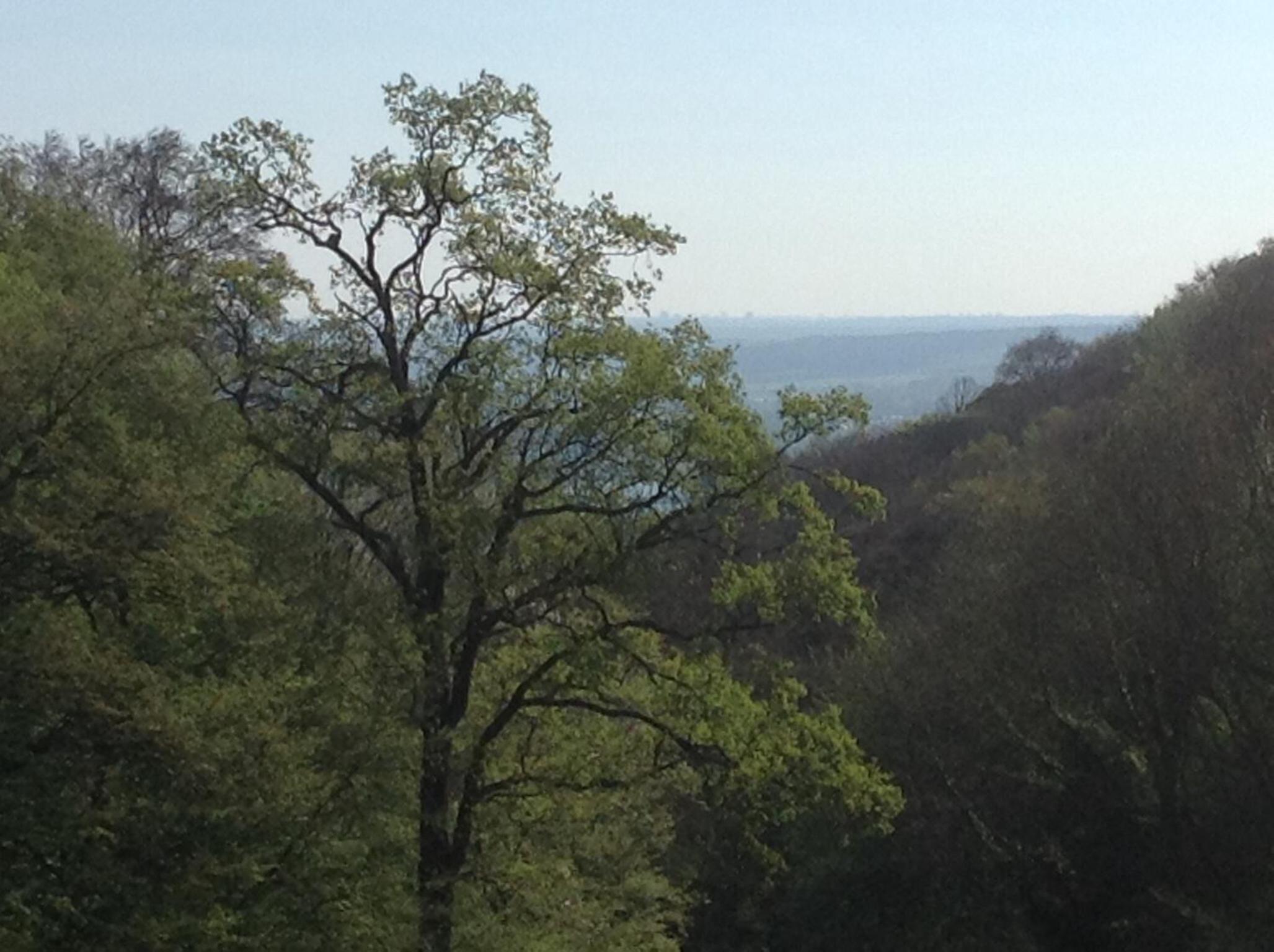 Serenity view 5