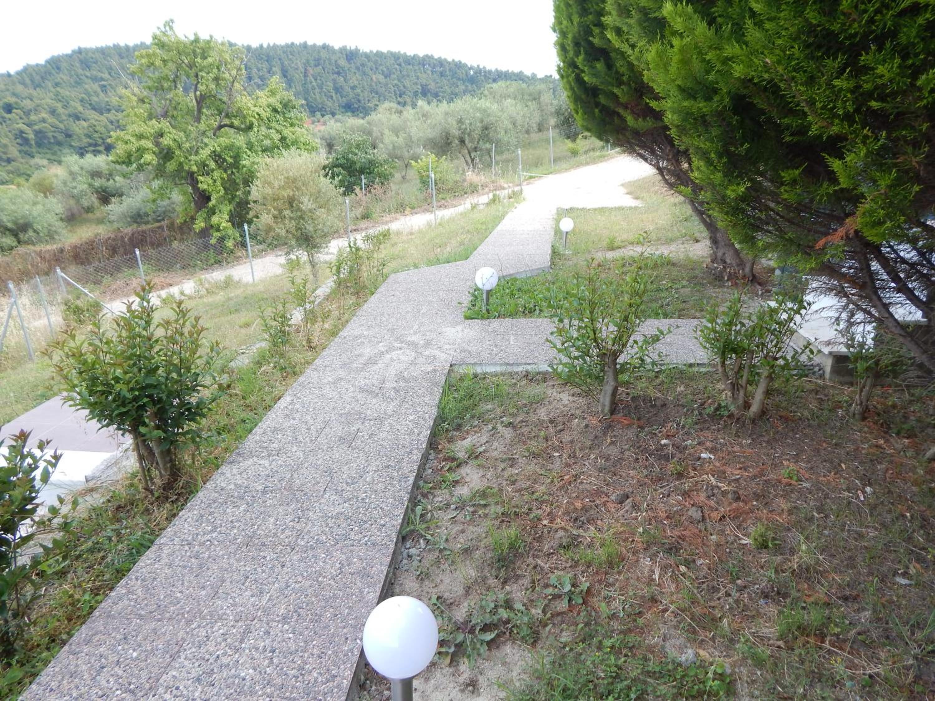 Kripis Studio Paliouri