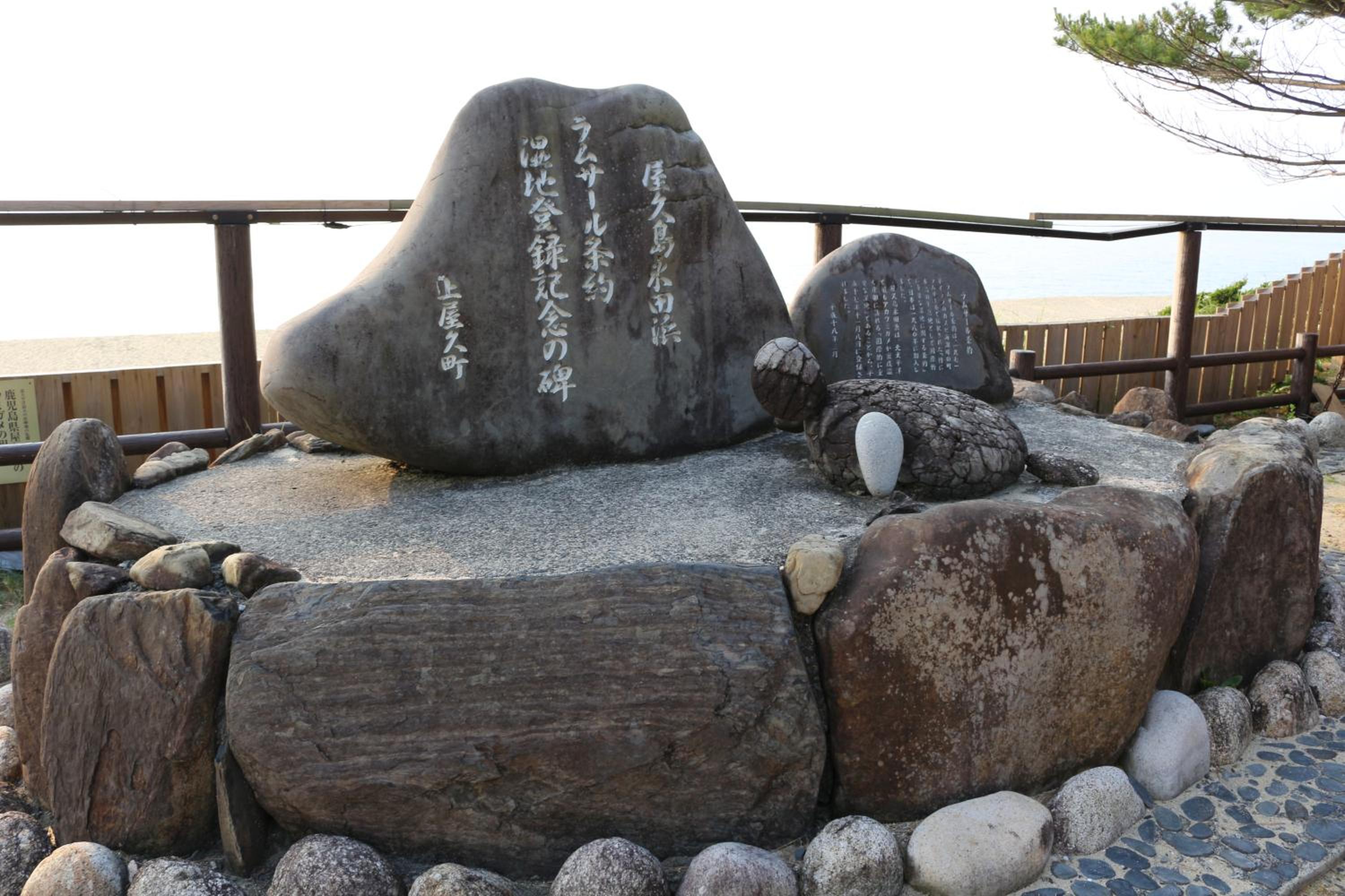 Cottage Yakusugi House