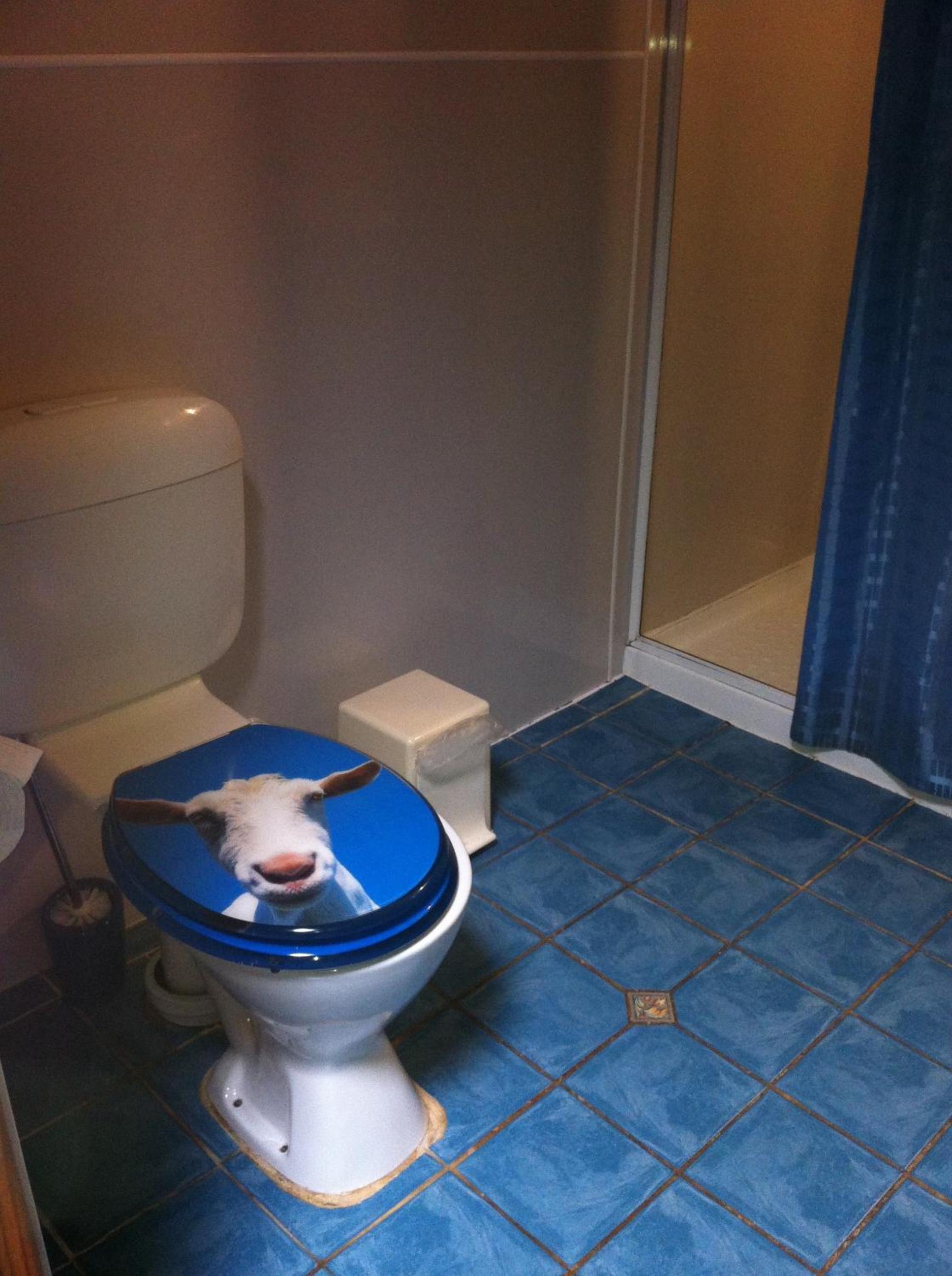 Photo 22
