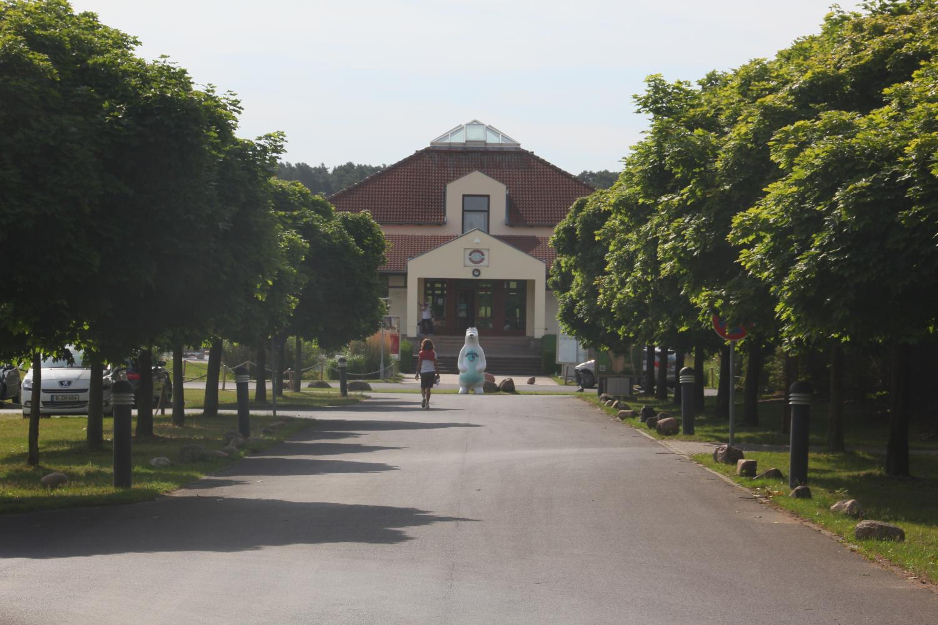 Photo 8