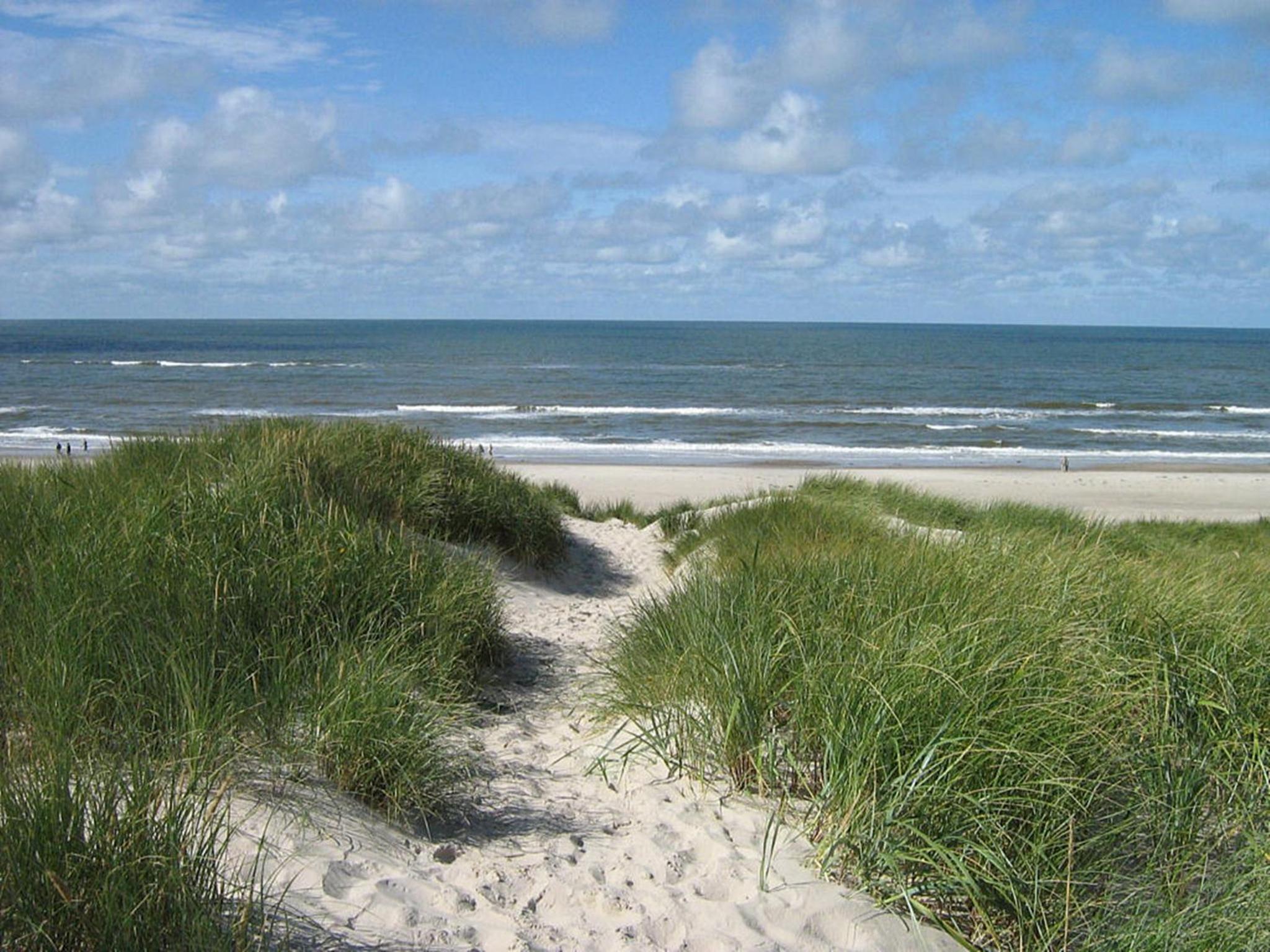 Photo 47