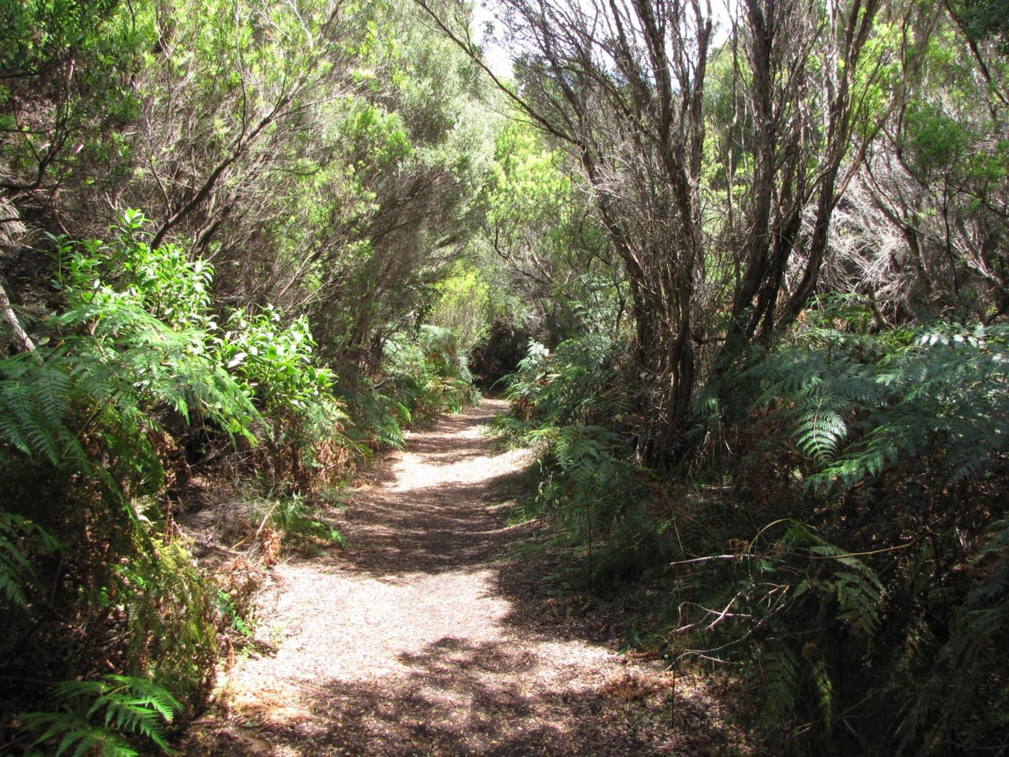 Photo 8