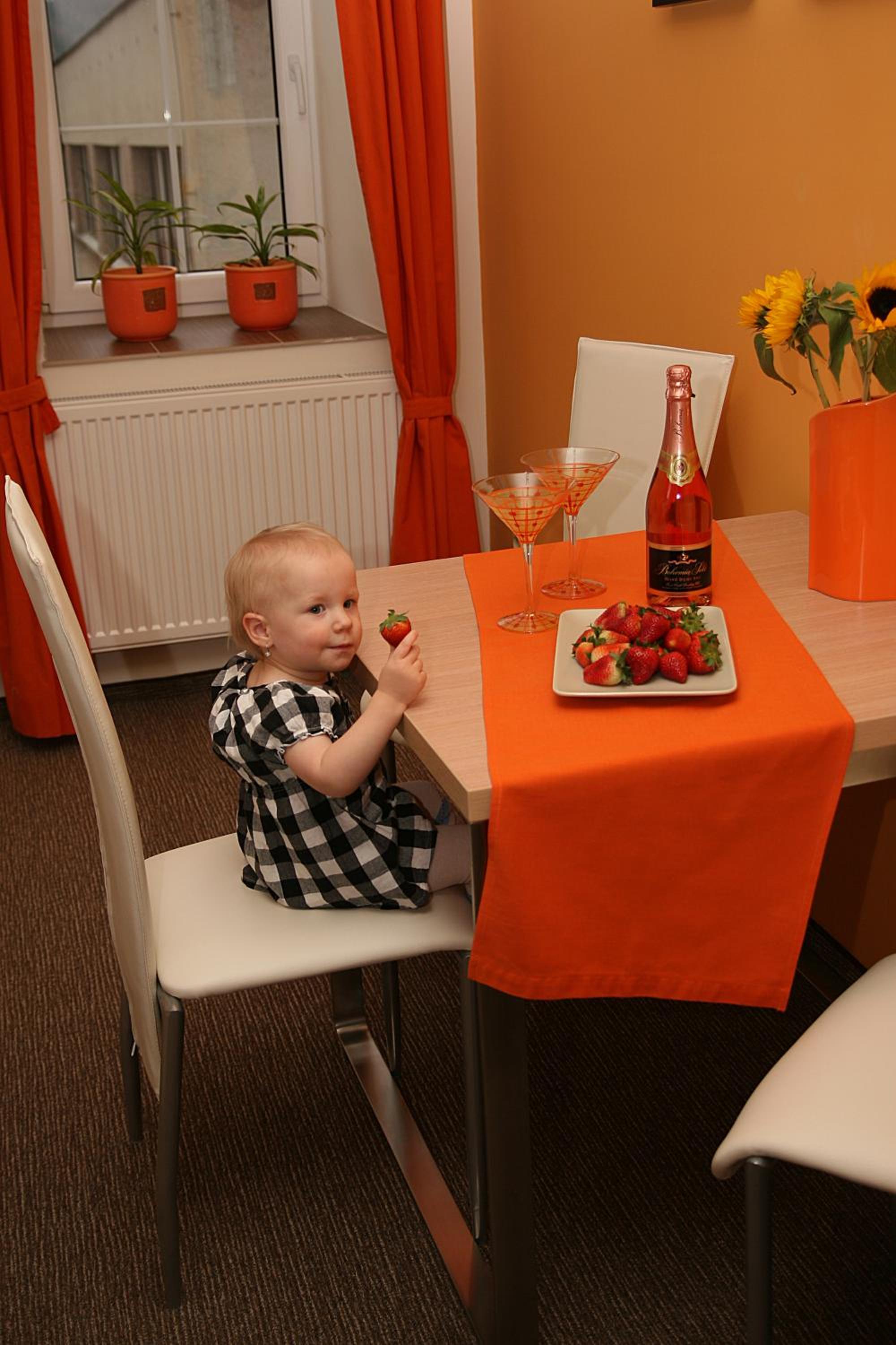 Penzion a relax centrum Andělka