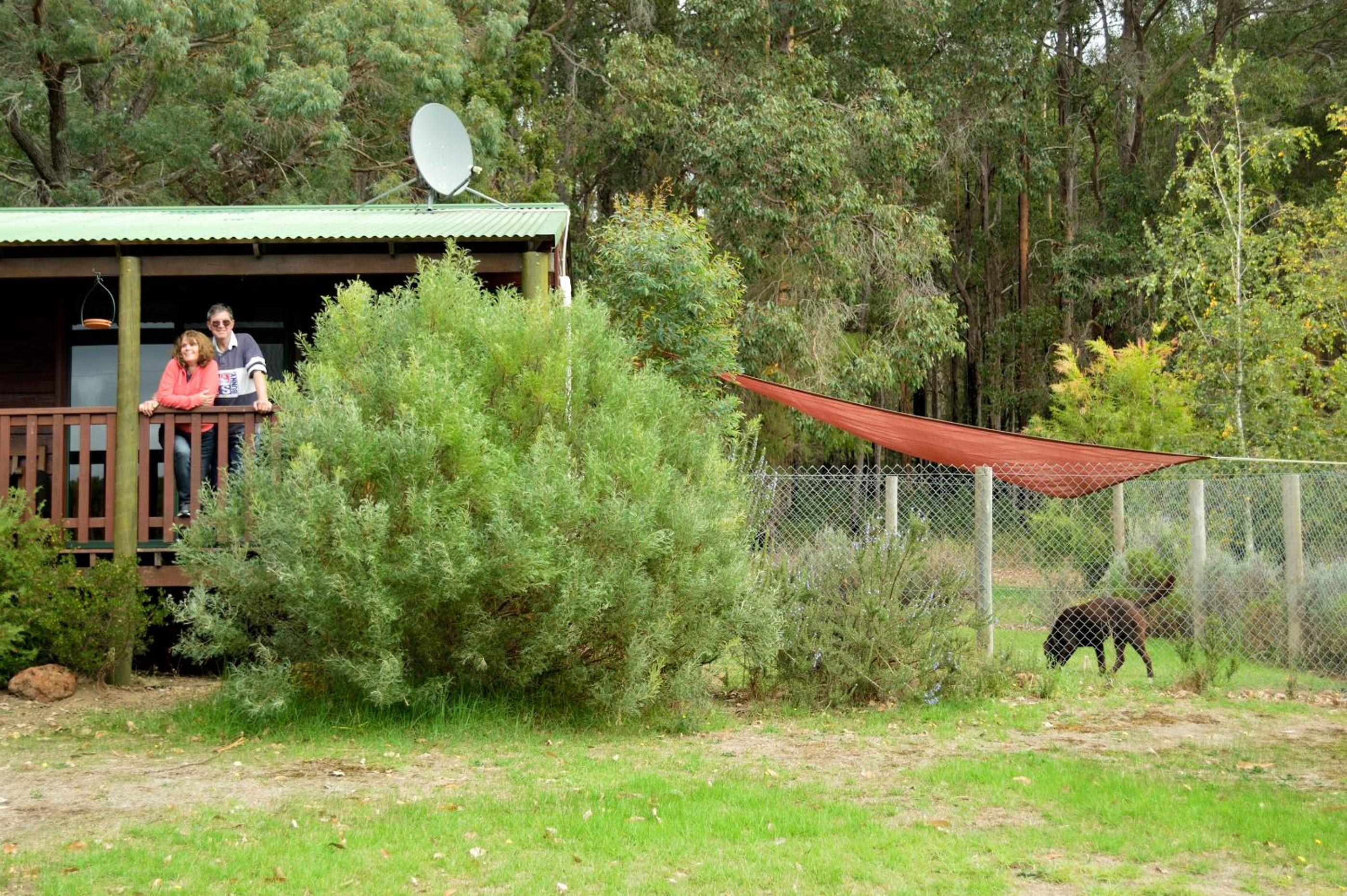 Diamond Forest Farm Stay