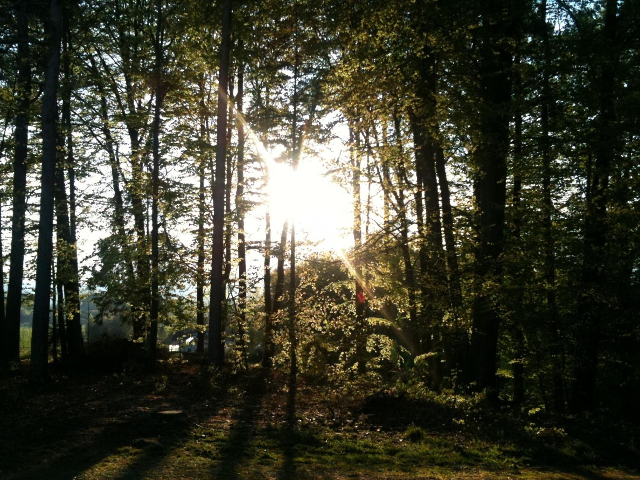 Waldpension Schiefling am See