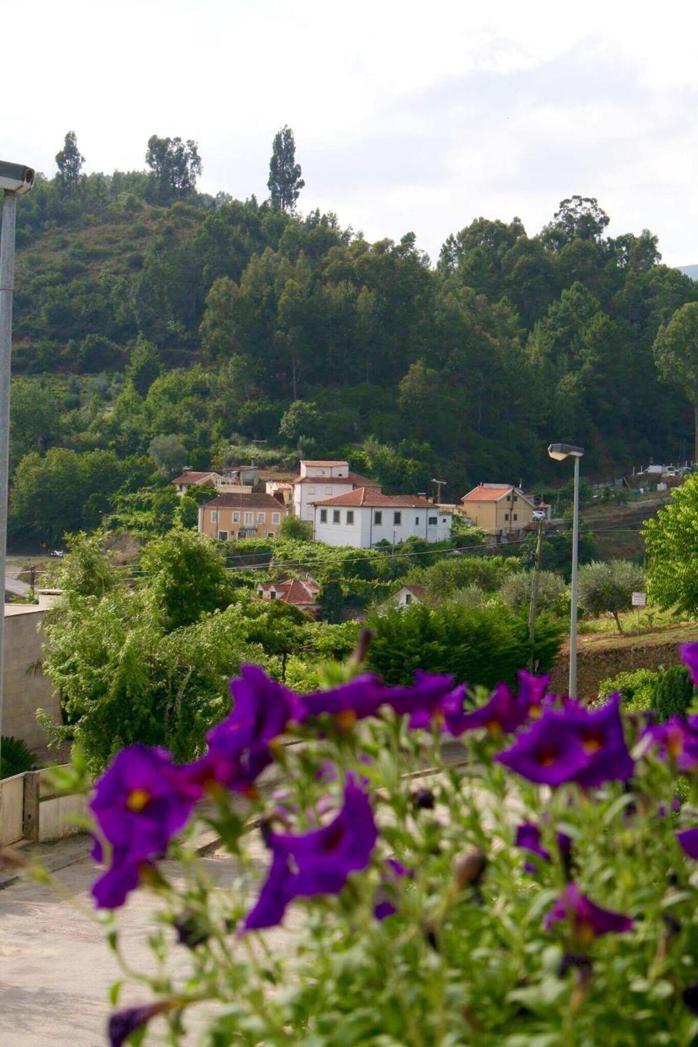Casa no Douro