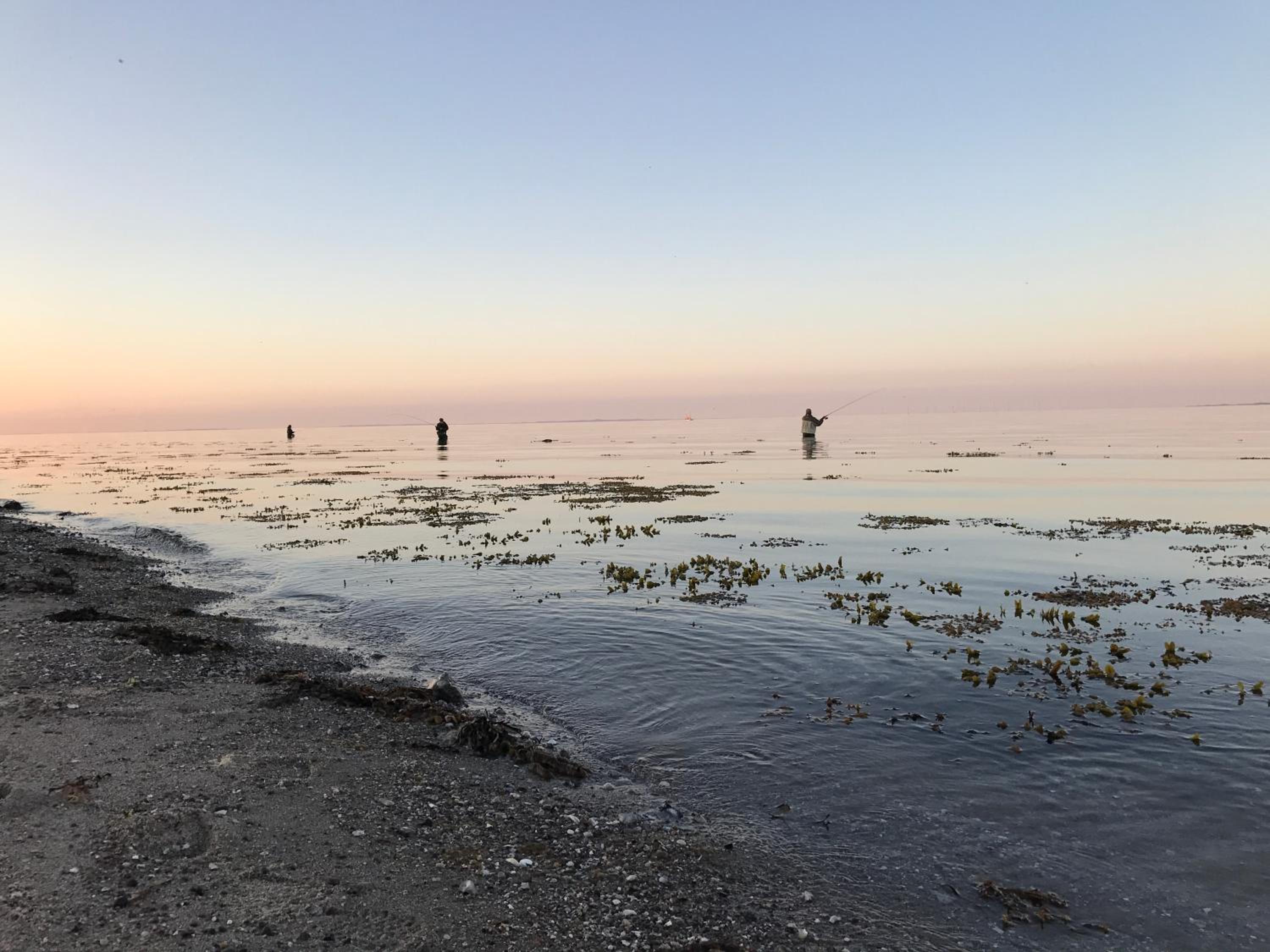 HYGGE Strand Camping