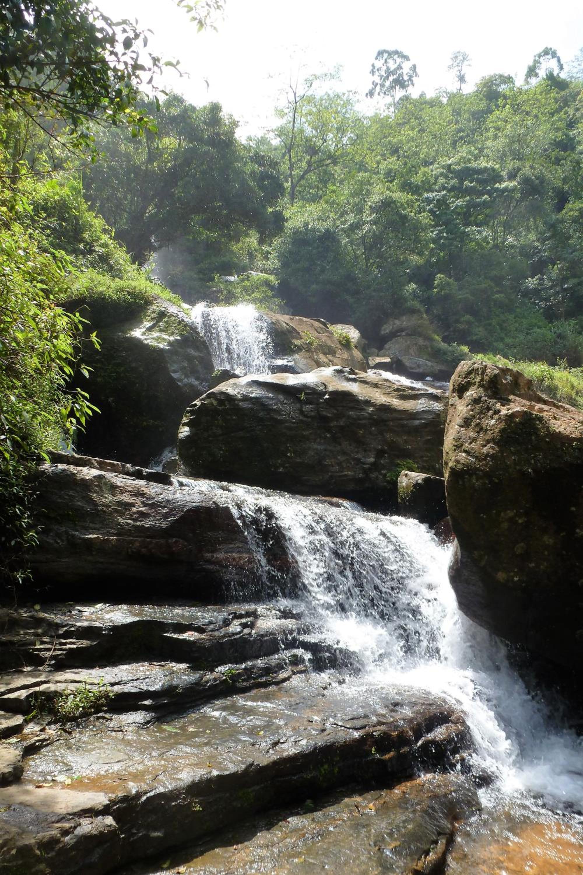 Nimal`s Homestay view 5