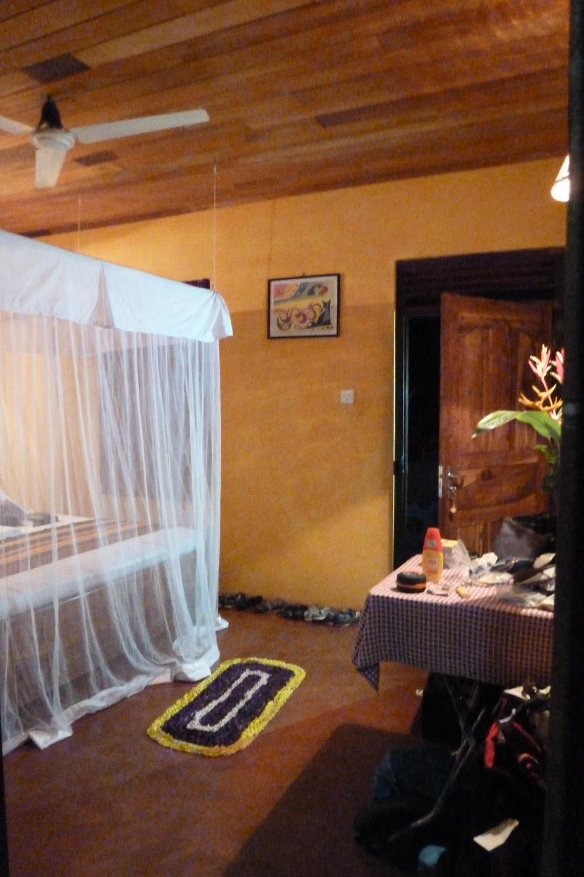Photo 47