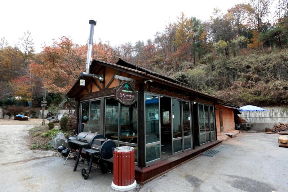 Pinearoma Pension