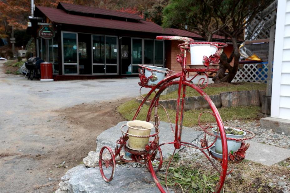 Pinearoma Pension