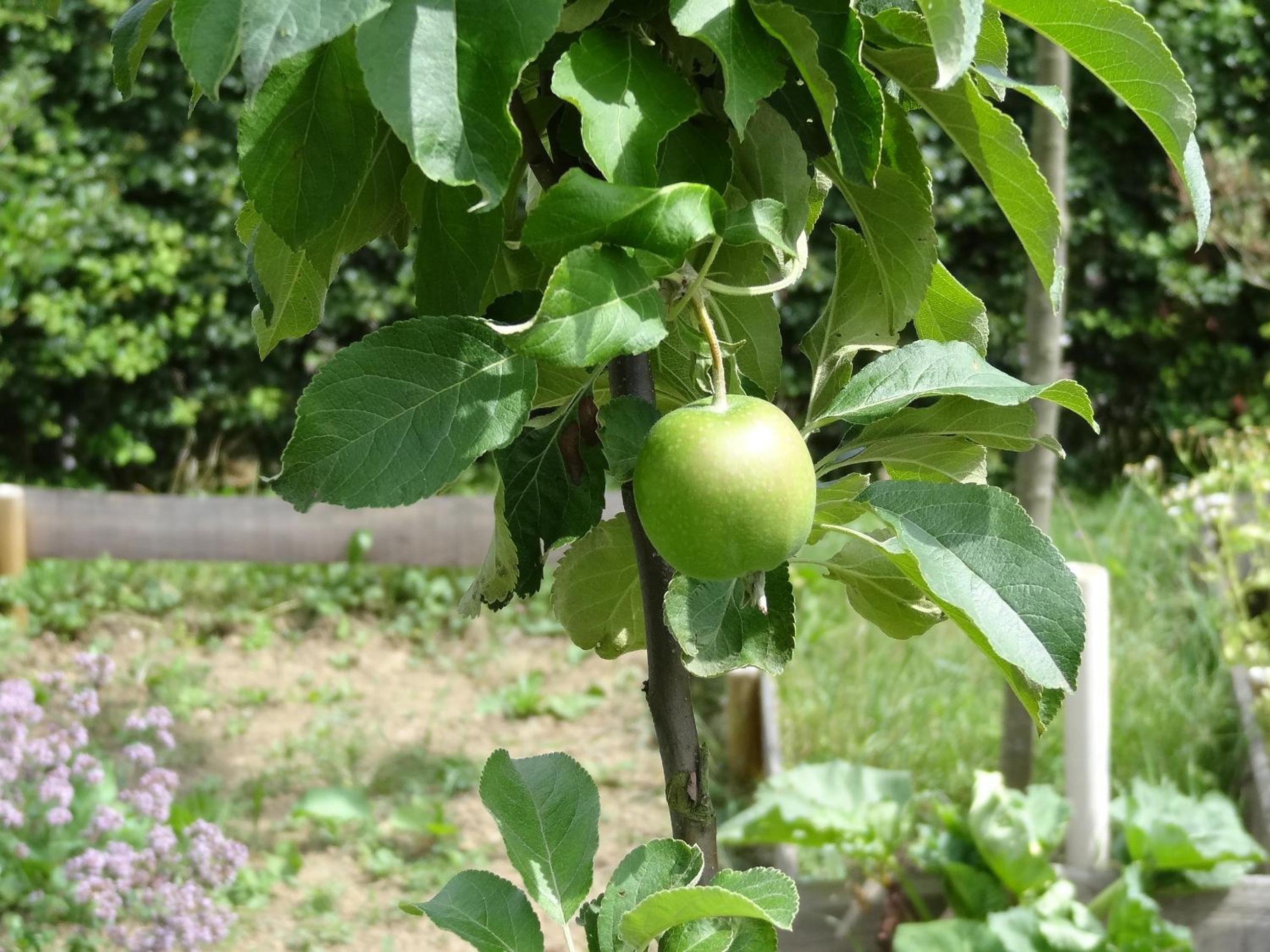 La Fermette Blanche