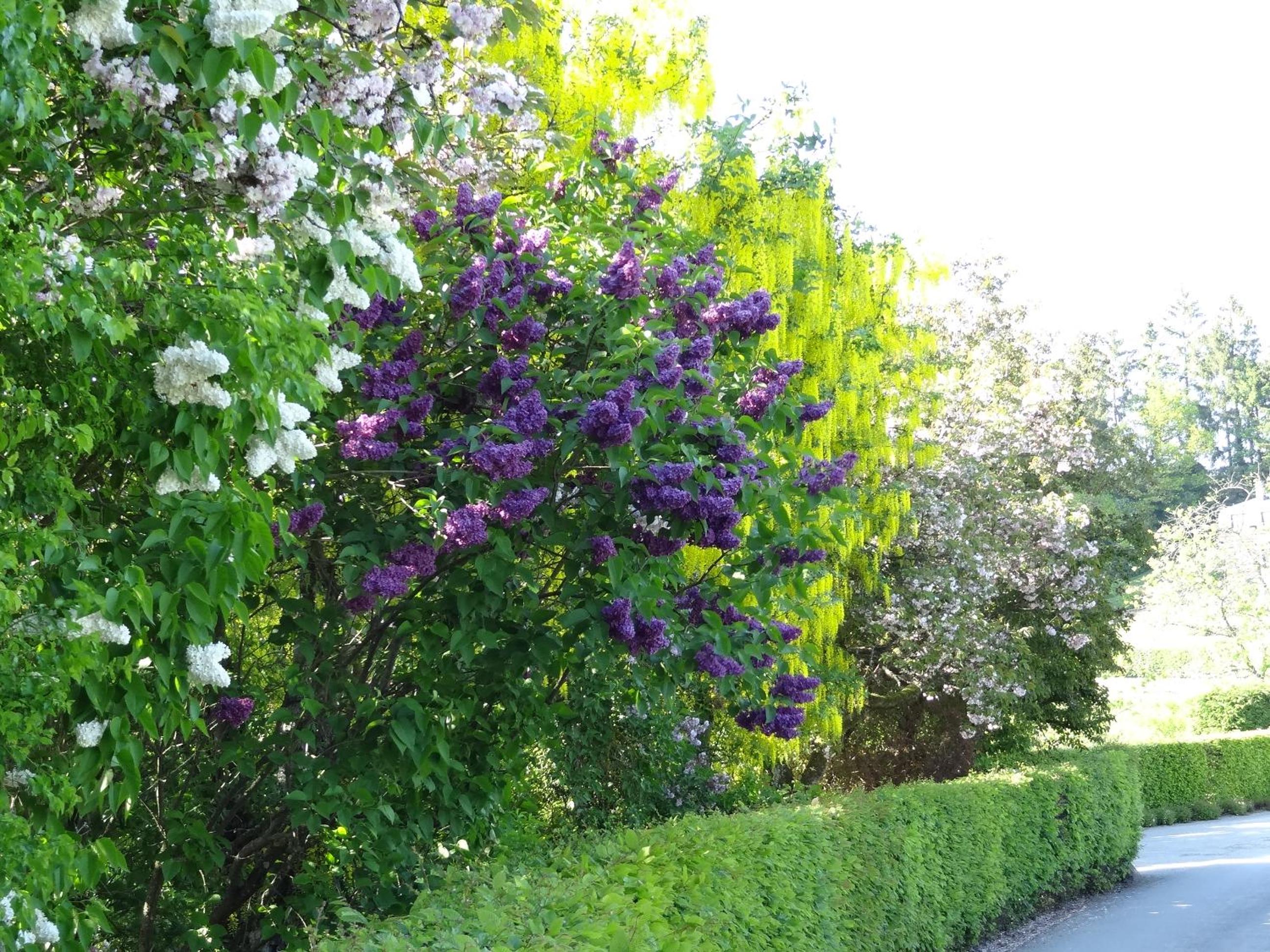 La Fermette Blanche