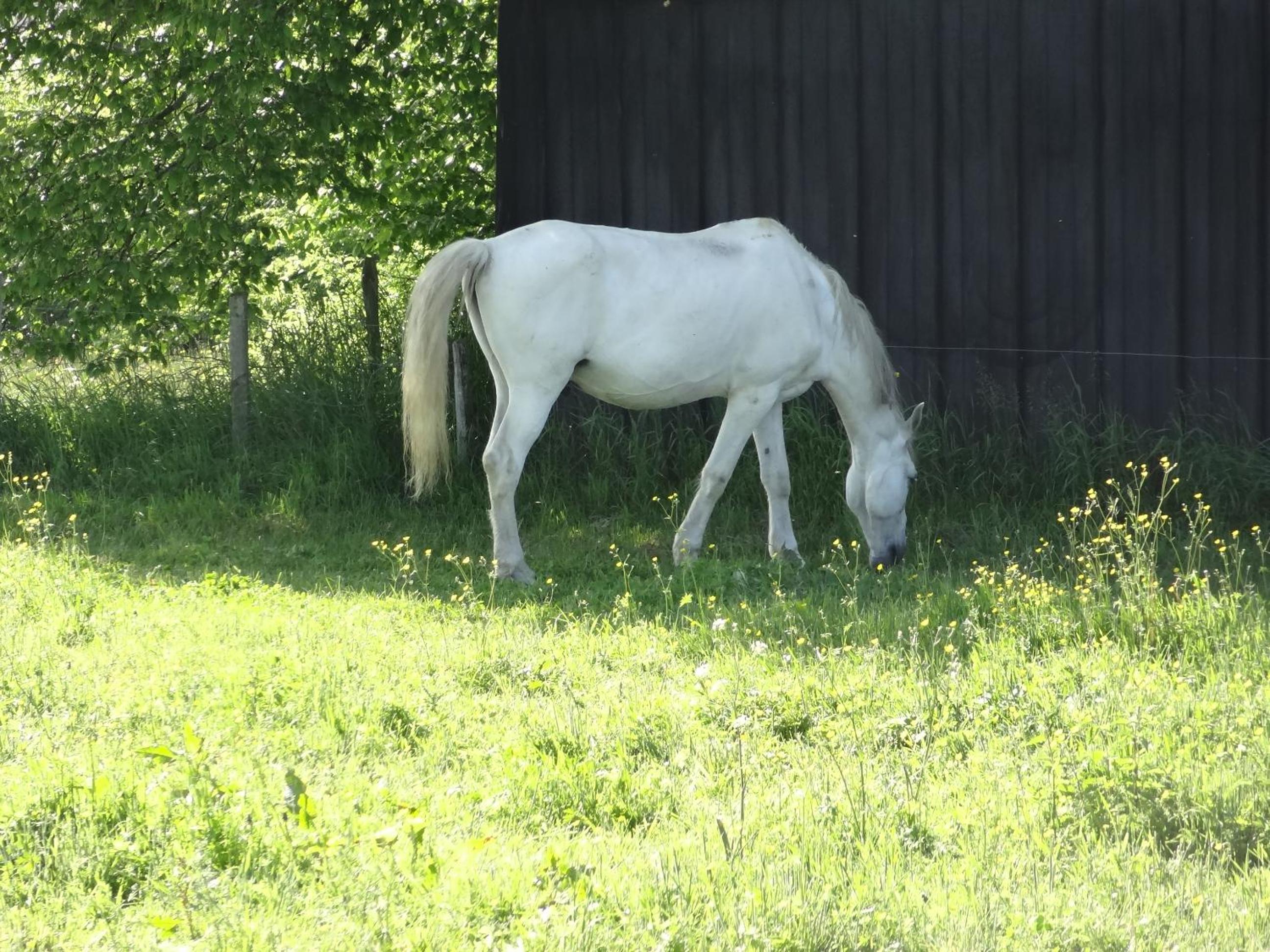 La Fermette Blanche