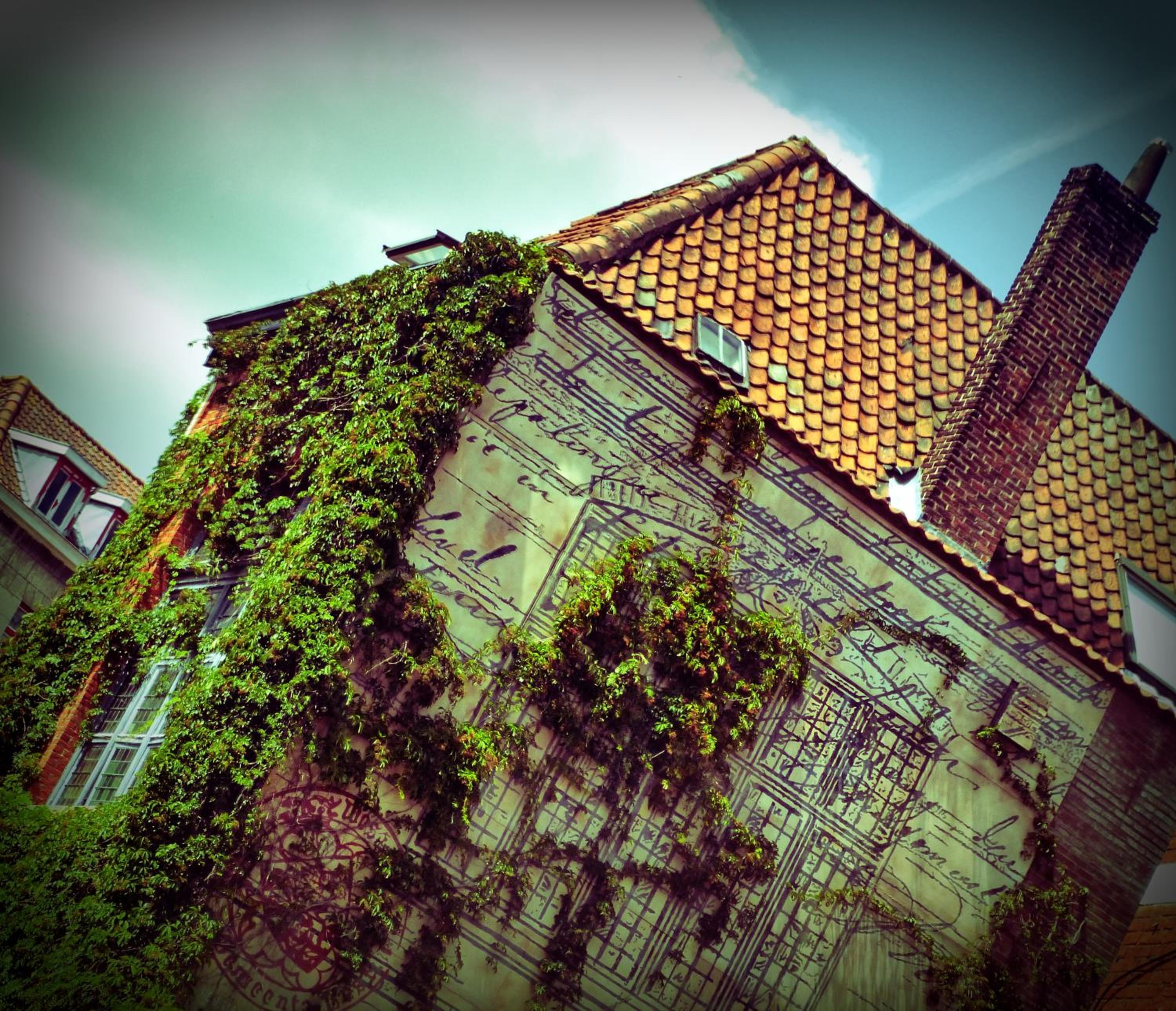 Bruges Vacations - Hostel Lybeer Bruges - Property Image 51