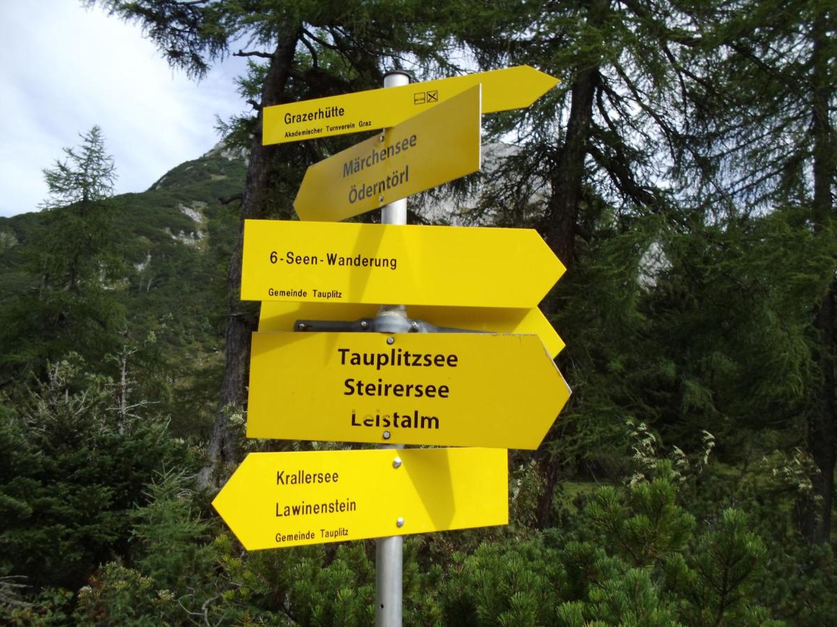 Weideblick
