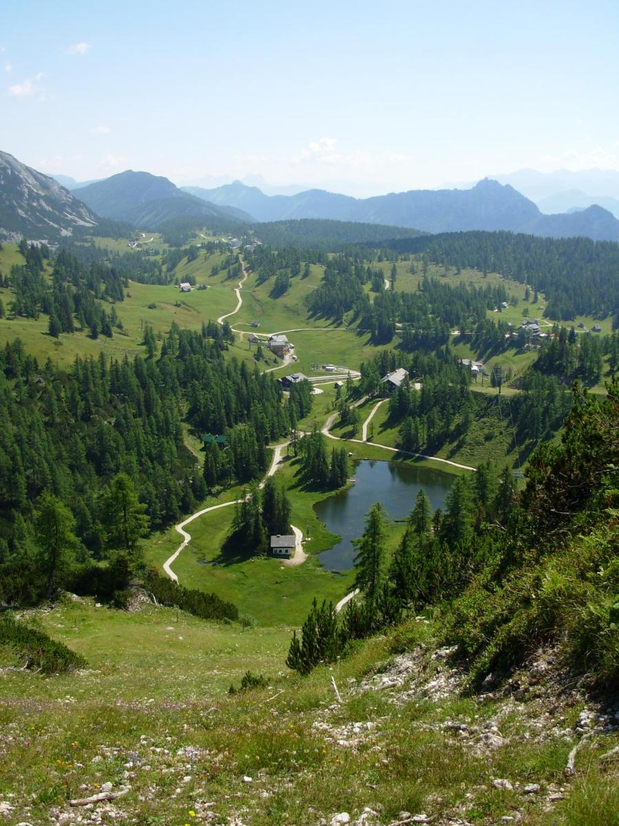 Weideblick